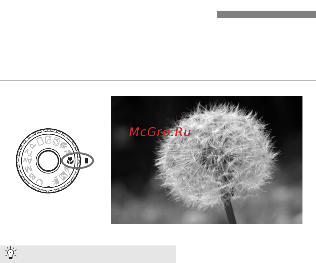Canon EOS 60D EF-S17-85 IS USM Kit [64/320] Съемка крупным планом
