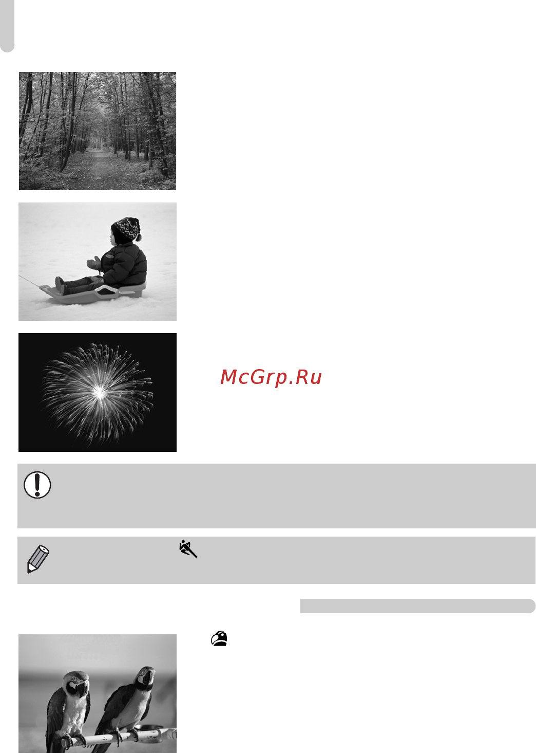 Canon PowerShot G12 [64/214] Съемка с добавлением эффектов