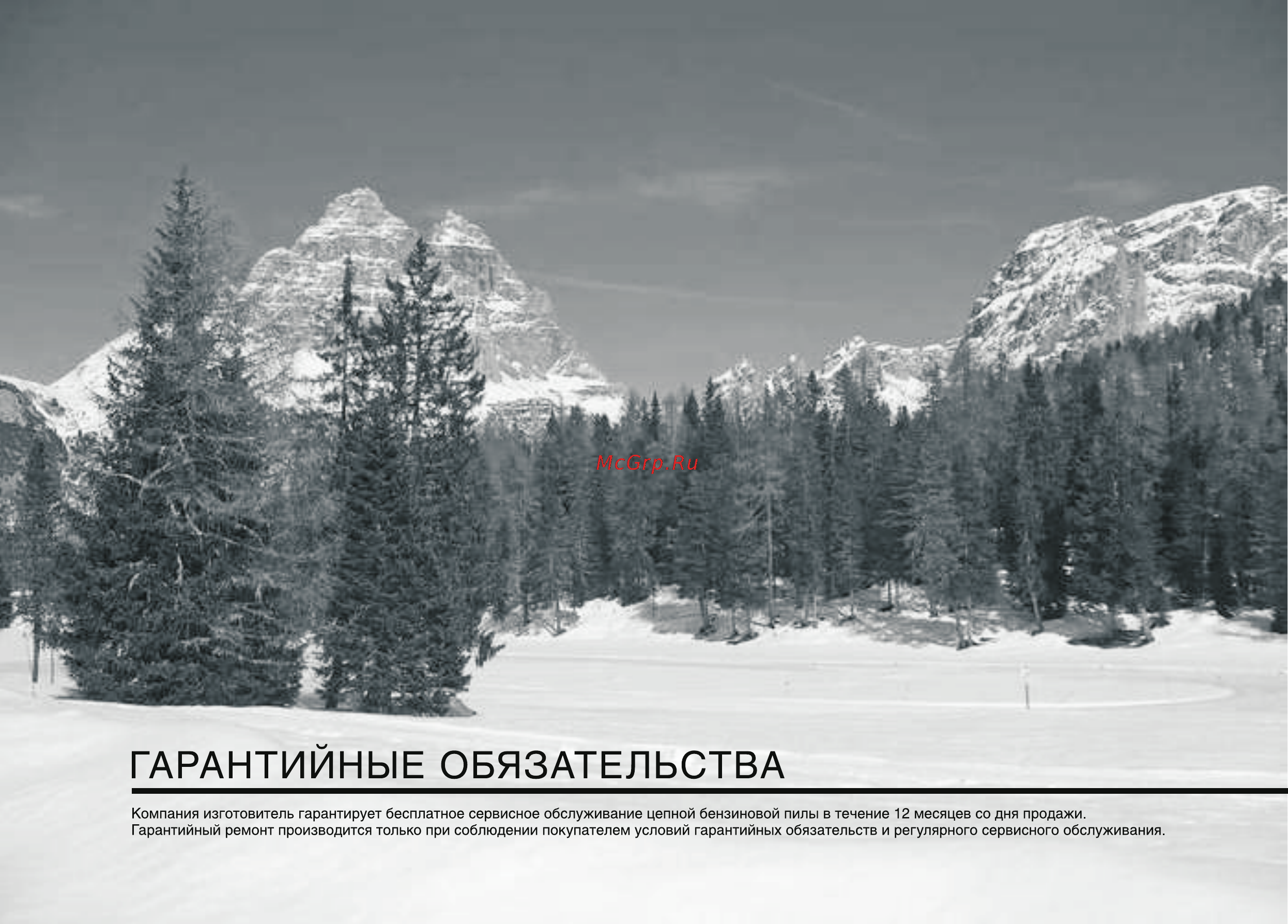 Patriot Garden РТ 3614 [26/32] Гарантийные обязательства