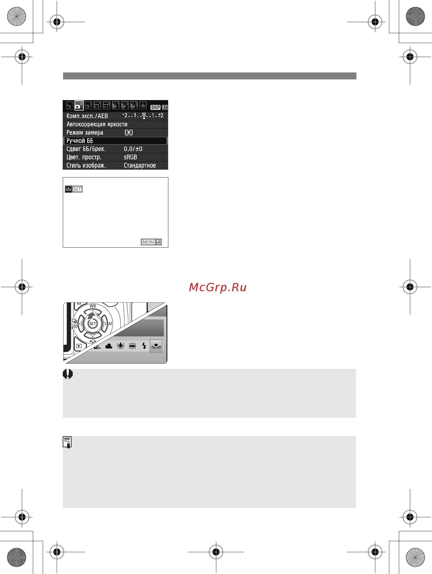 Canon EOS 550D Body Kit [100/258] Выберите пункт ручной бб