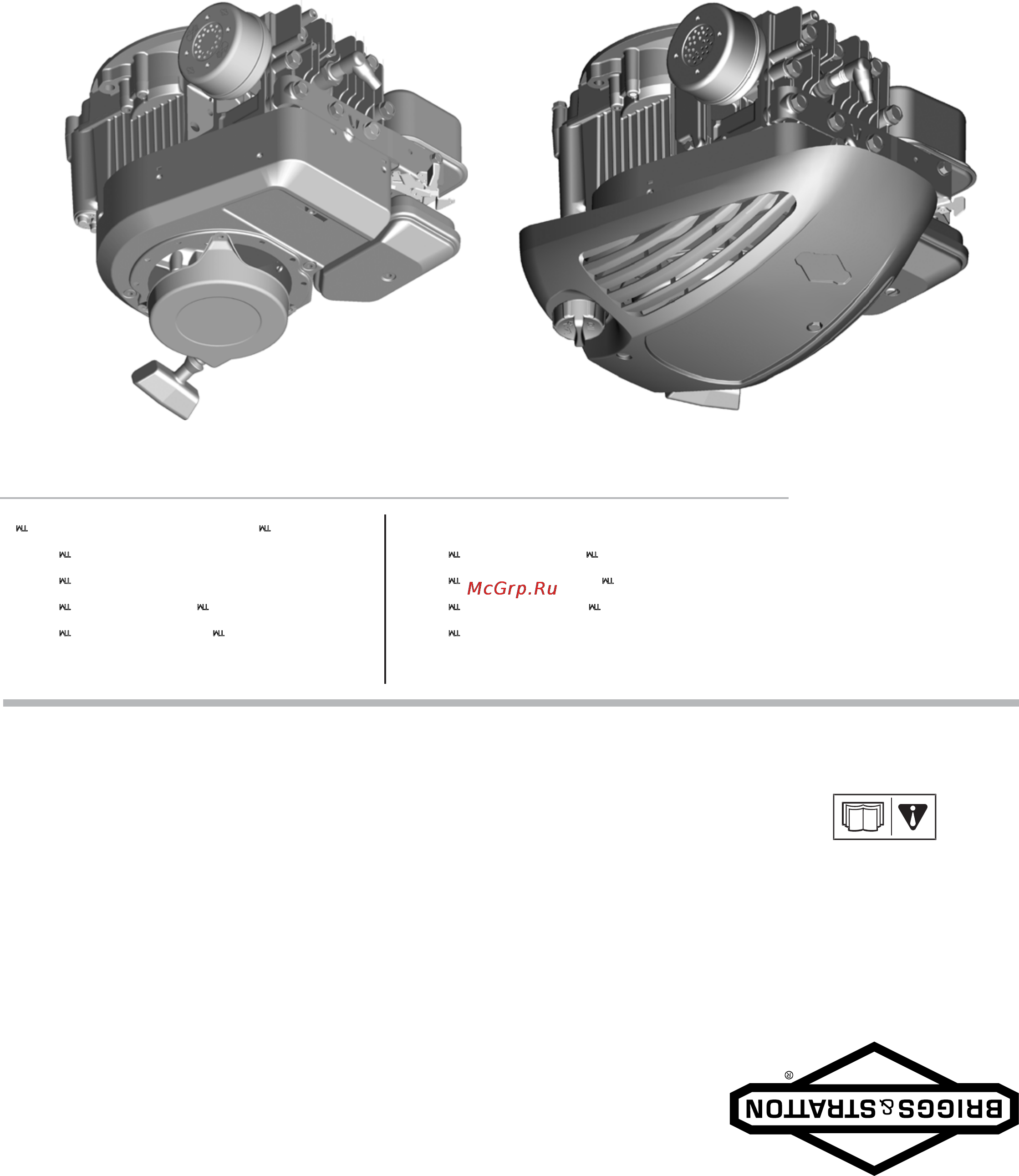 Champion LM3826BS [36/36] Руководство по эксплуатации