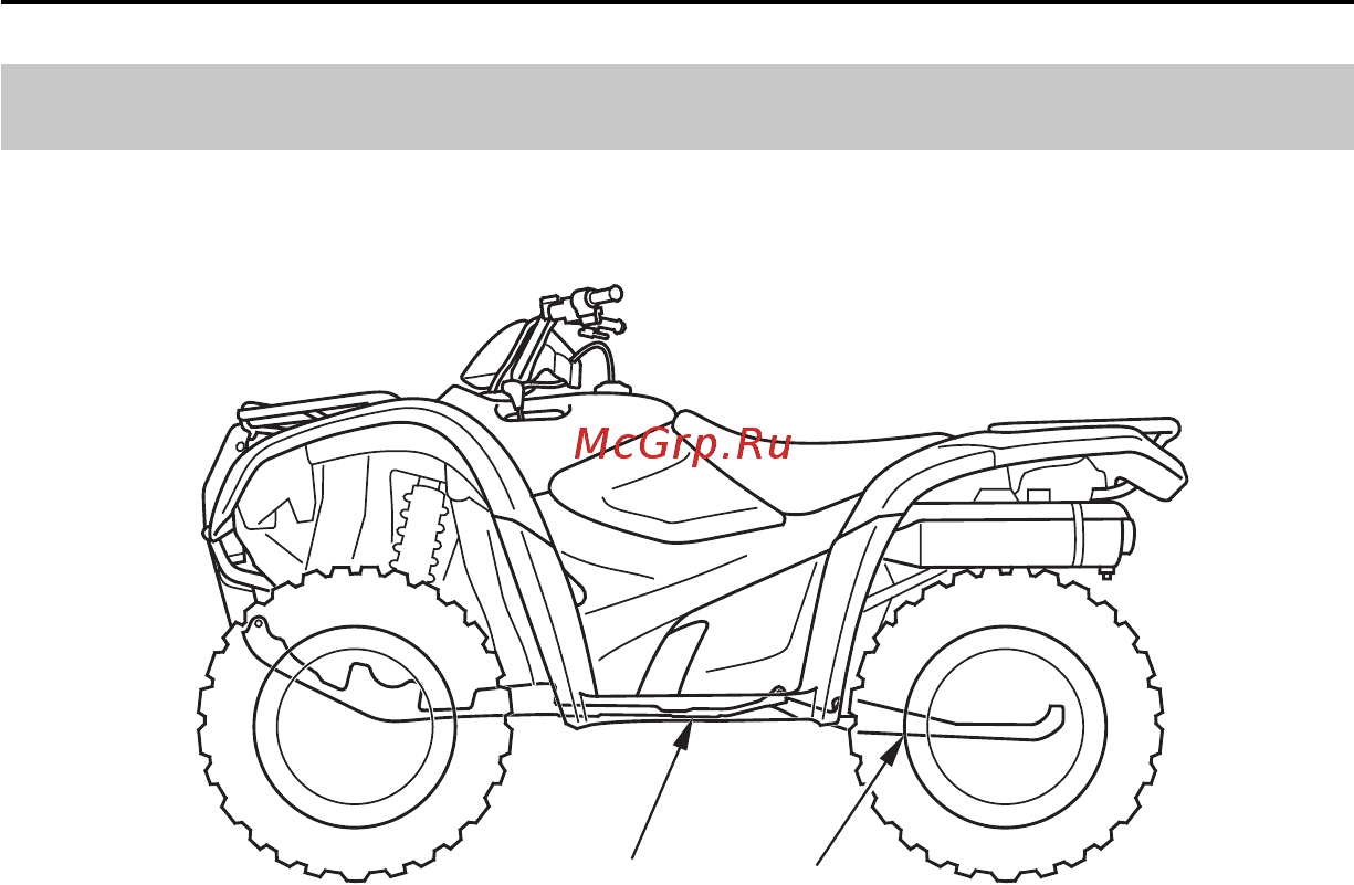 Honda TRX420FA (2009-2011) [164/234] Защитные элементы