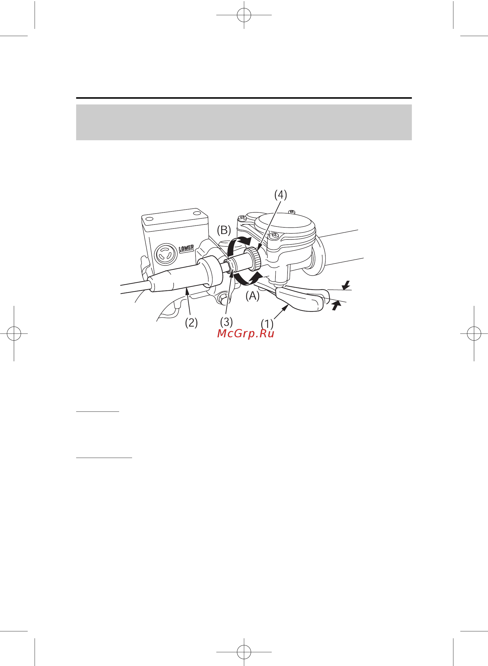 Honda TRX450R (2005-2011) [116/210] Дроссельная заслонка