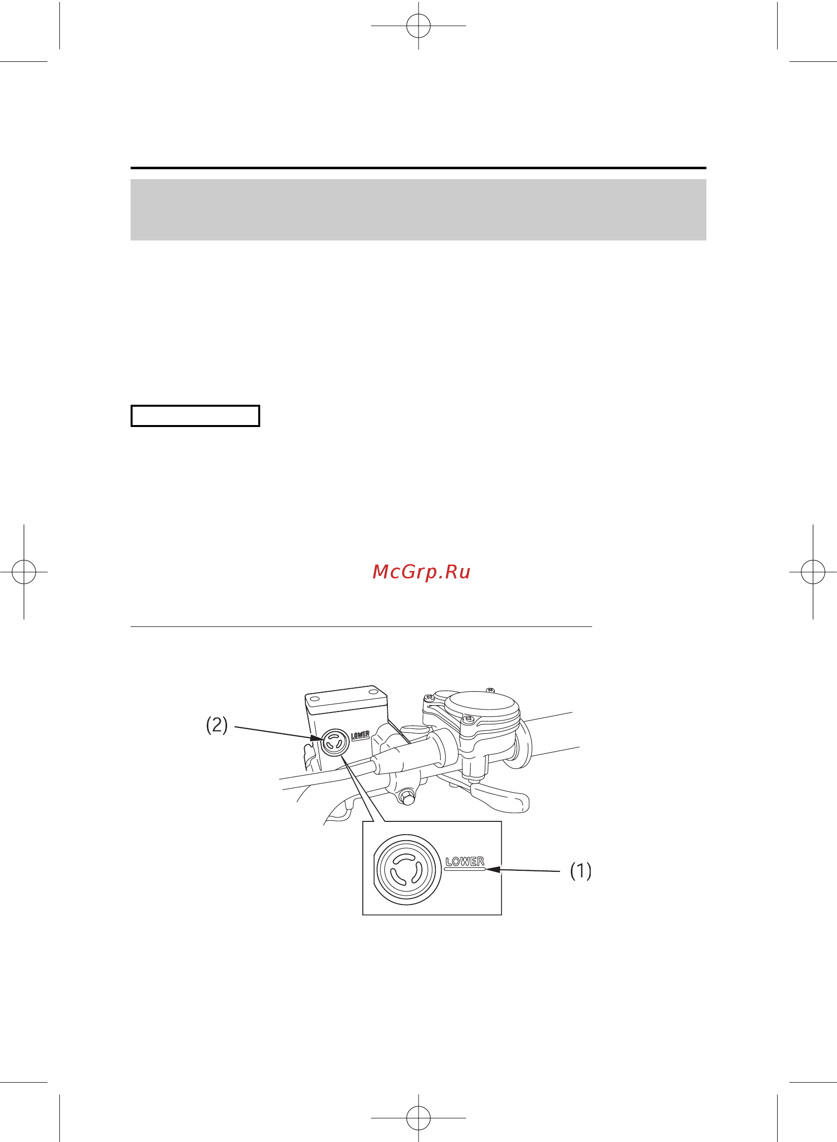 Honda TRX450R (2005-2011) [137/210] Тормоза