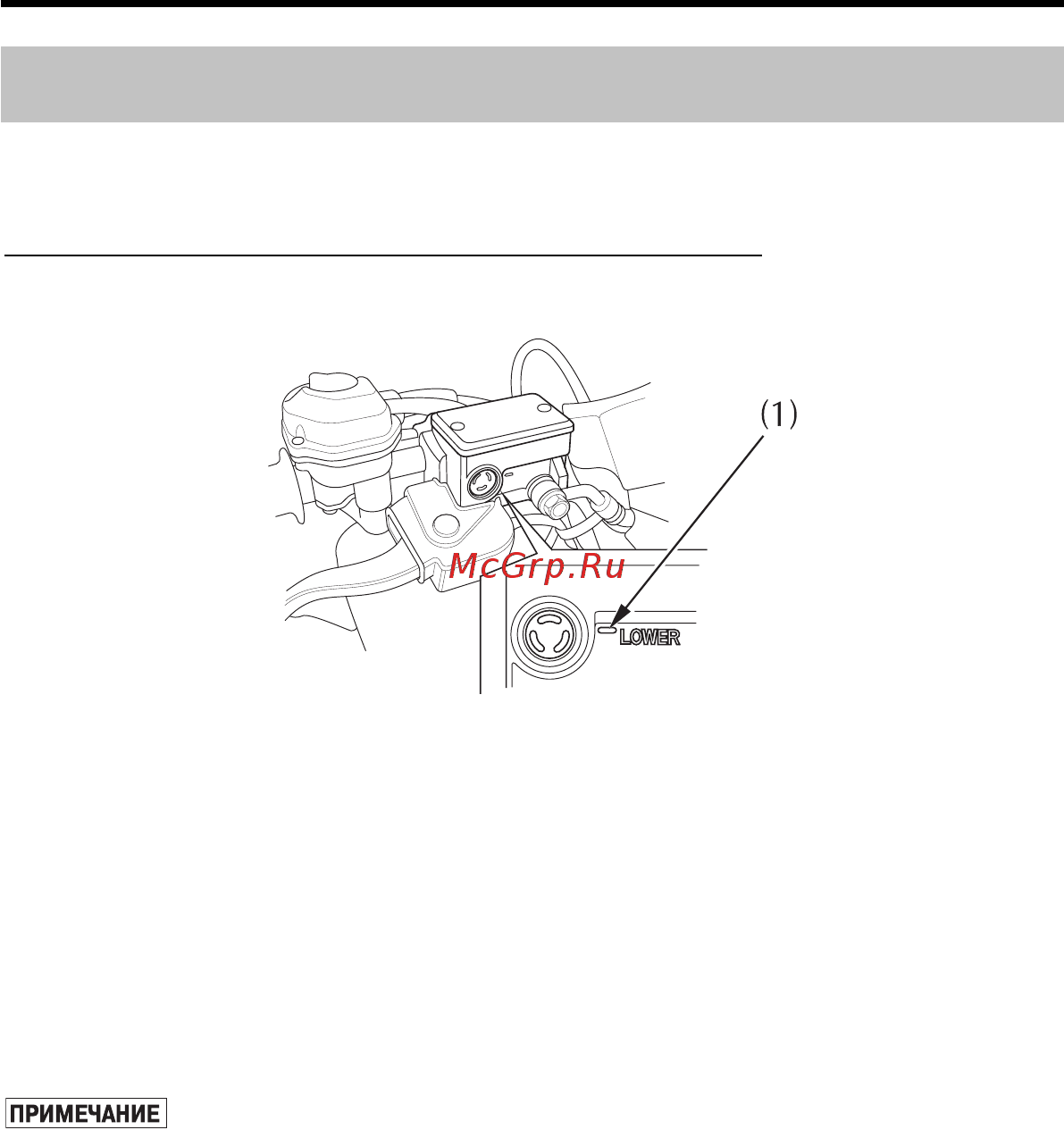 Honda TRX680FA (2005-2011) [154/235] Тормоза