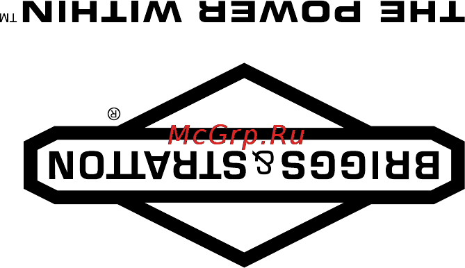 Champion LMH5637BS Инструкция по эксплуатации онлайн [21/32] 11138