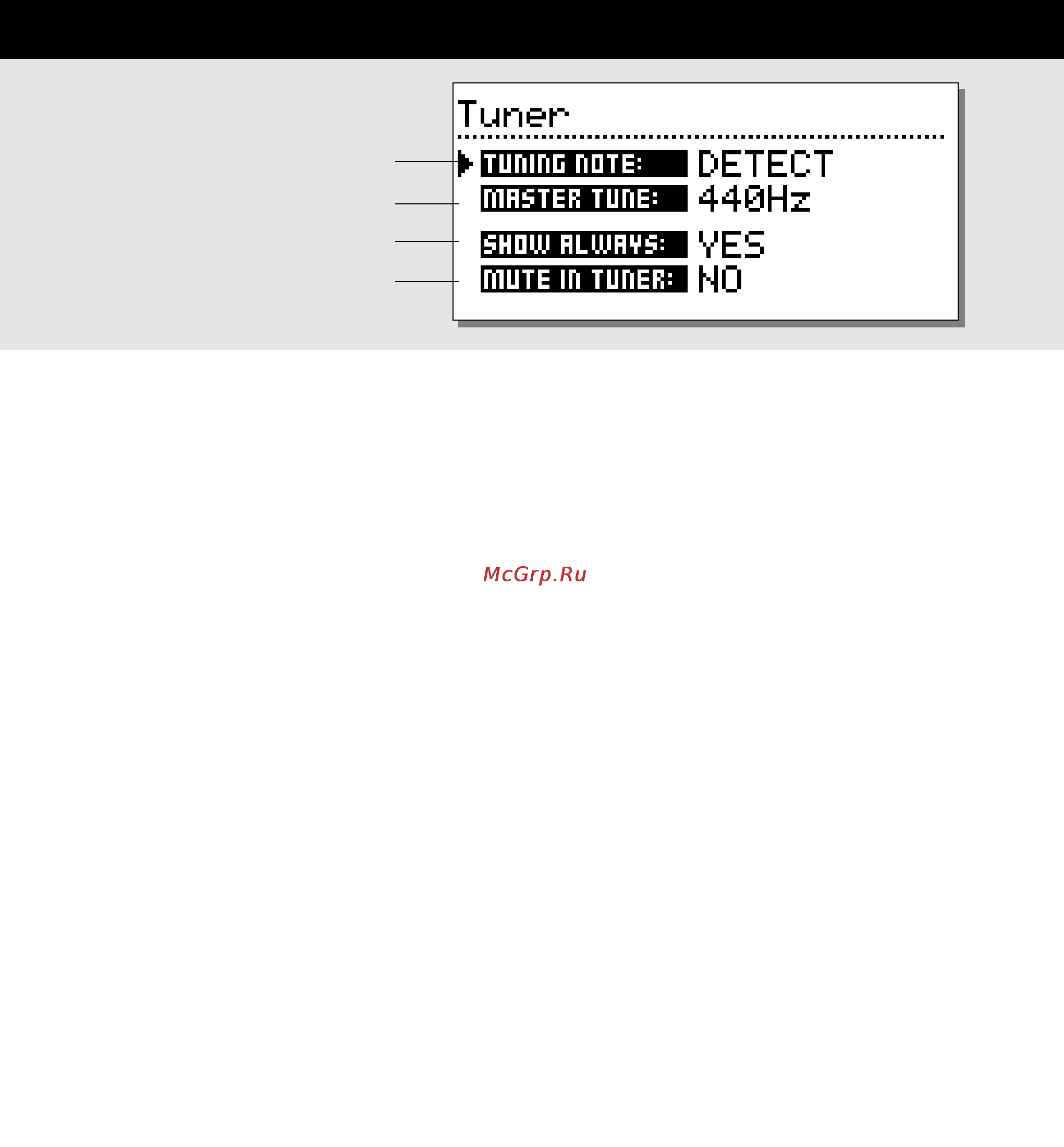 Tc Electronic G-FORCE [34/63] The tuner display