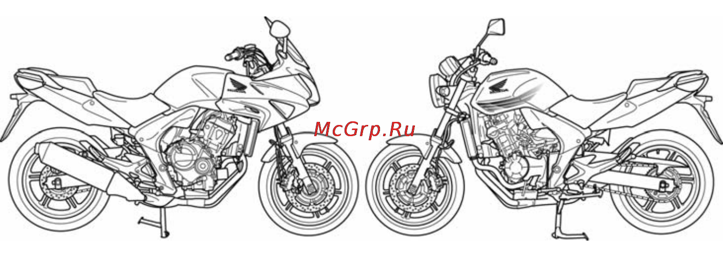 Honda CBF600NA (2010) [3/160] Honda cbf600s sa n na руководство по эксплуатации