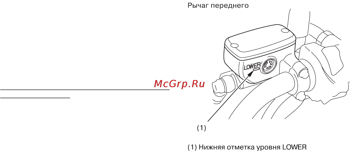Honda CB900F (2010) Инструкция по эксплуатации онлайн [37/149] 11446