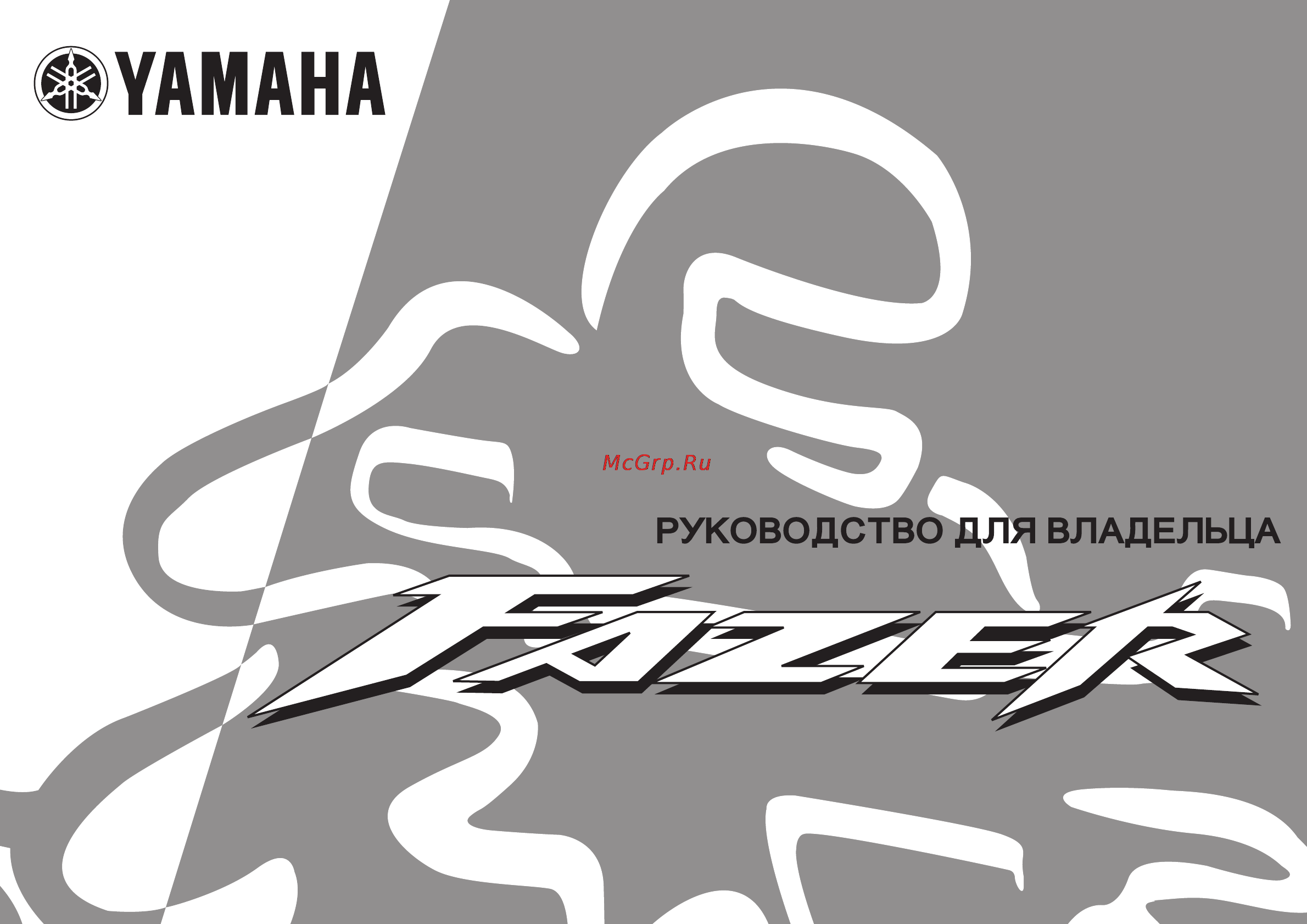 Yamaha FAZER FZS600 (2003) Инструкция по эксплуатации онлайн
