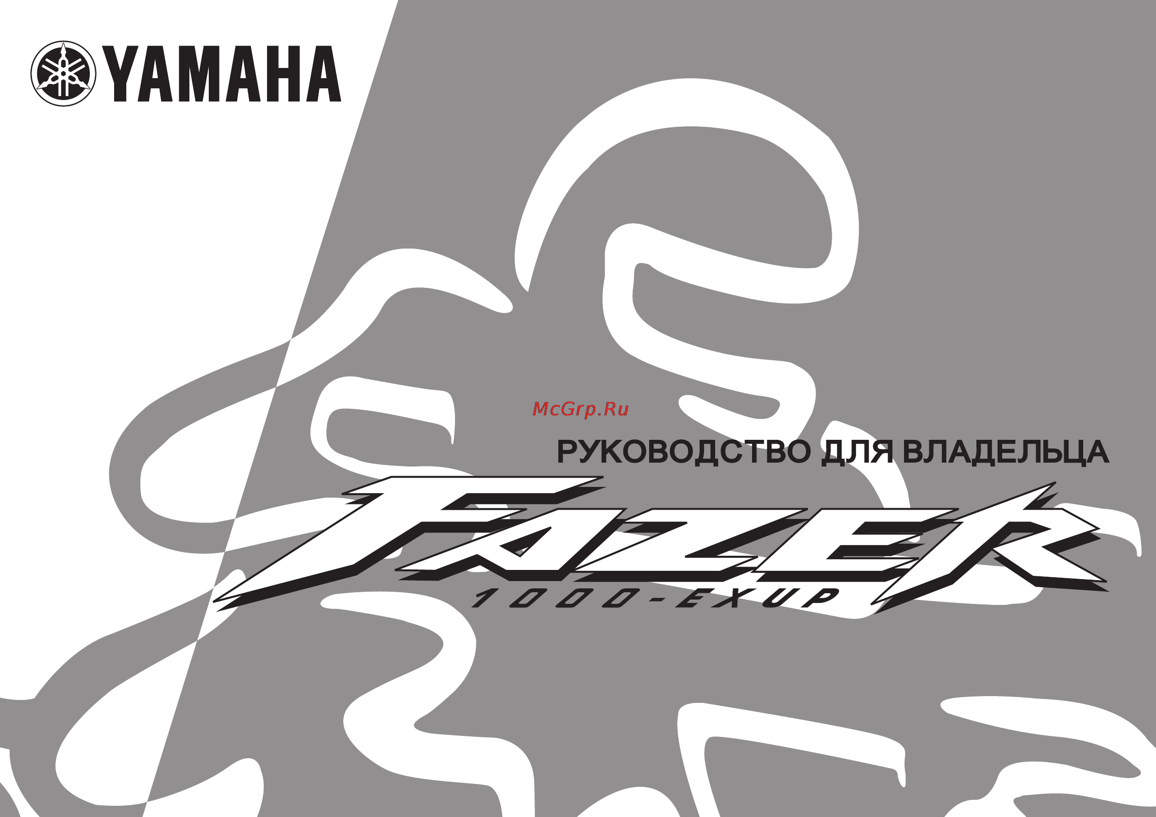 Yamaha FZS1000 (2003) Инструкция по эксплуатации онлайн