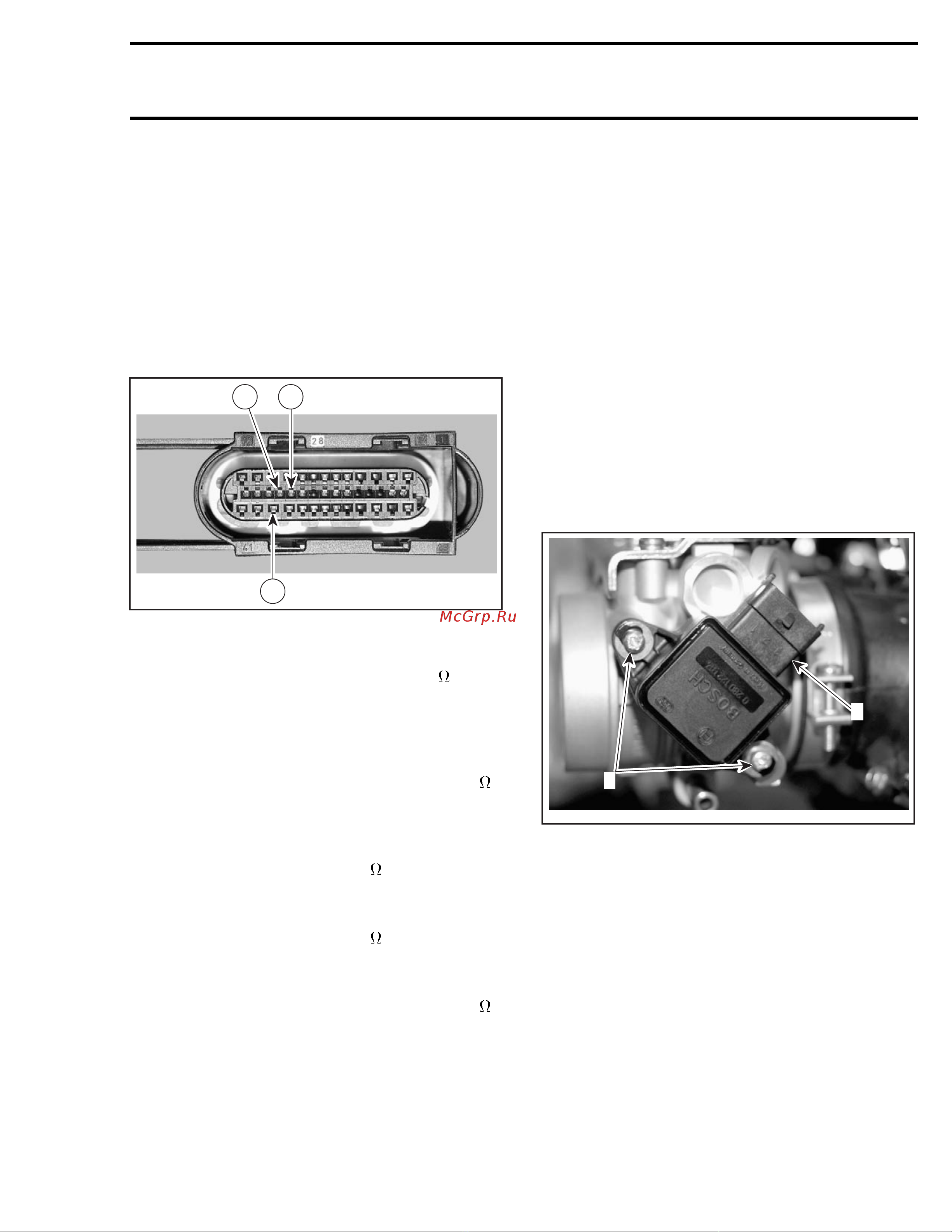 Ski-Doo Ski Doo MX Z 2005 [1152/1429] Closed throttle reset