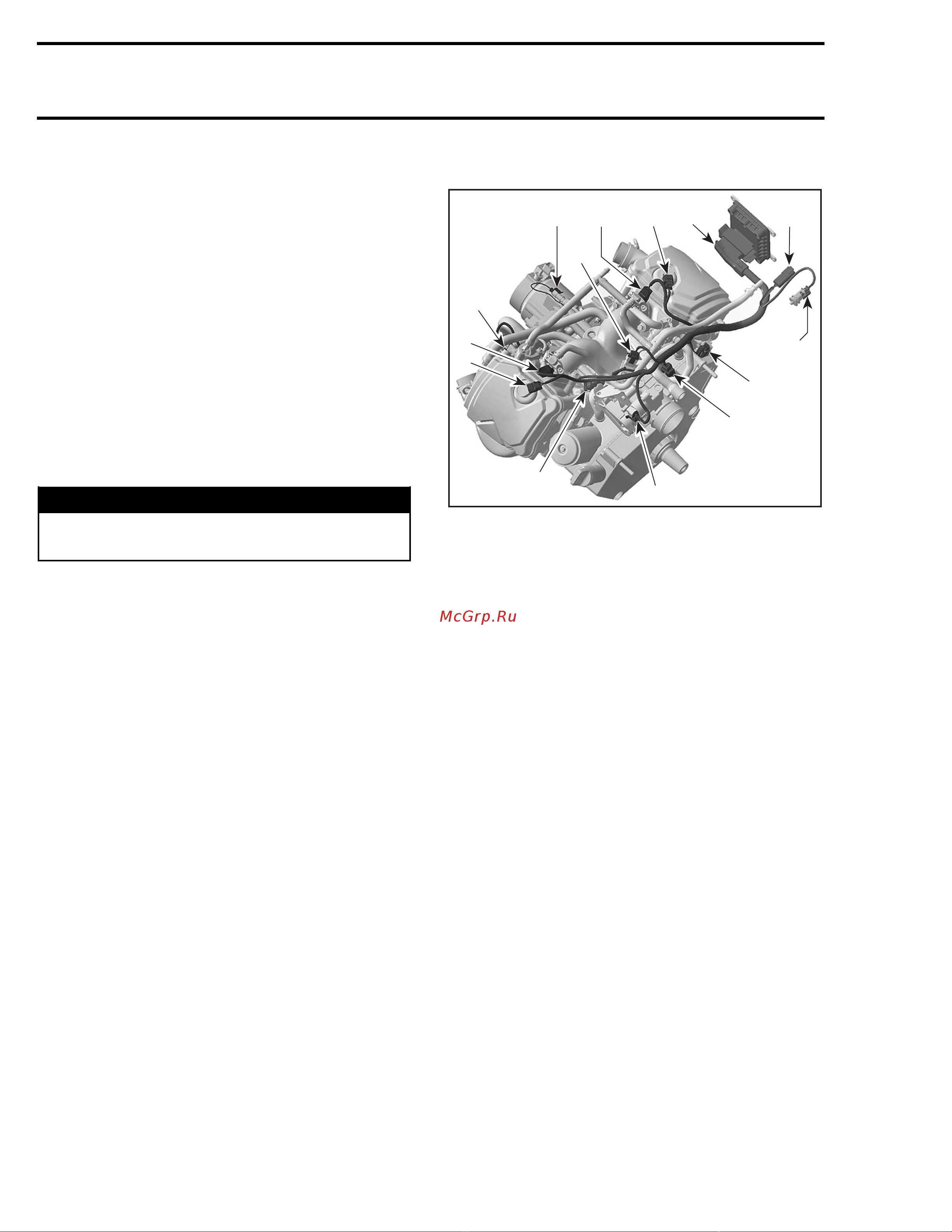 Ski-Doo Ski Doo MX Z 2005 [1190/1429] Engine wiring harness