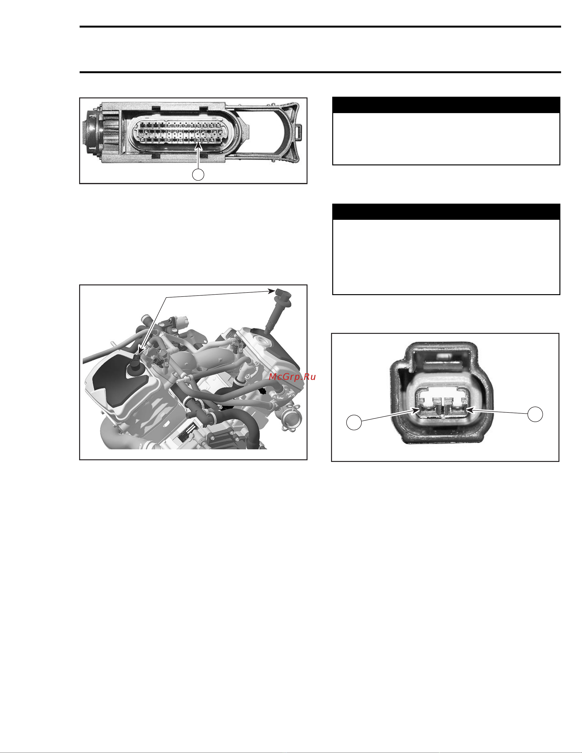 Ski-Doo Ski Doo MX Z 2005 [1201/1429] Ignition coils