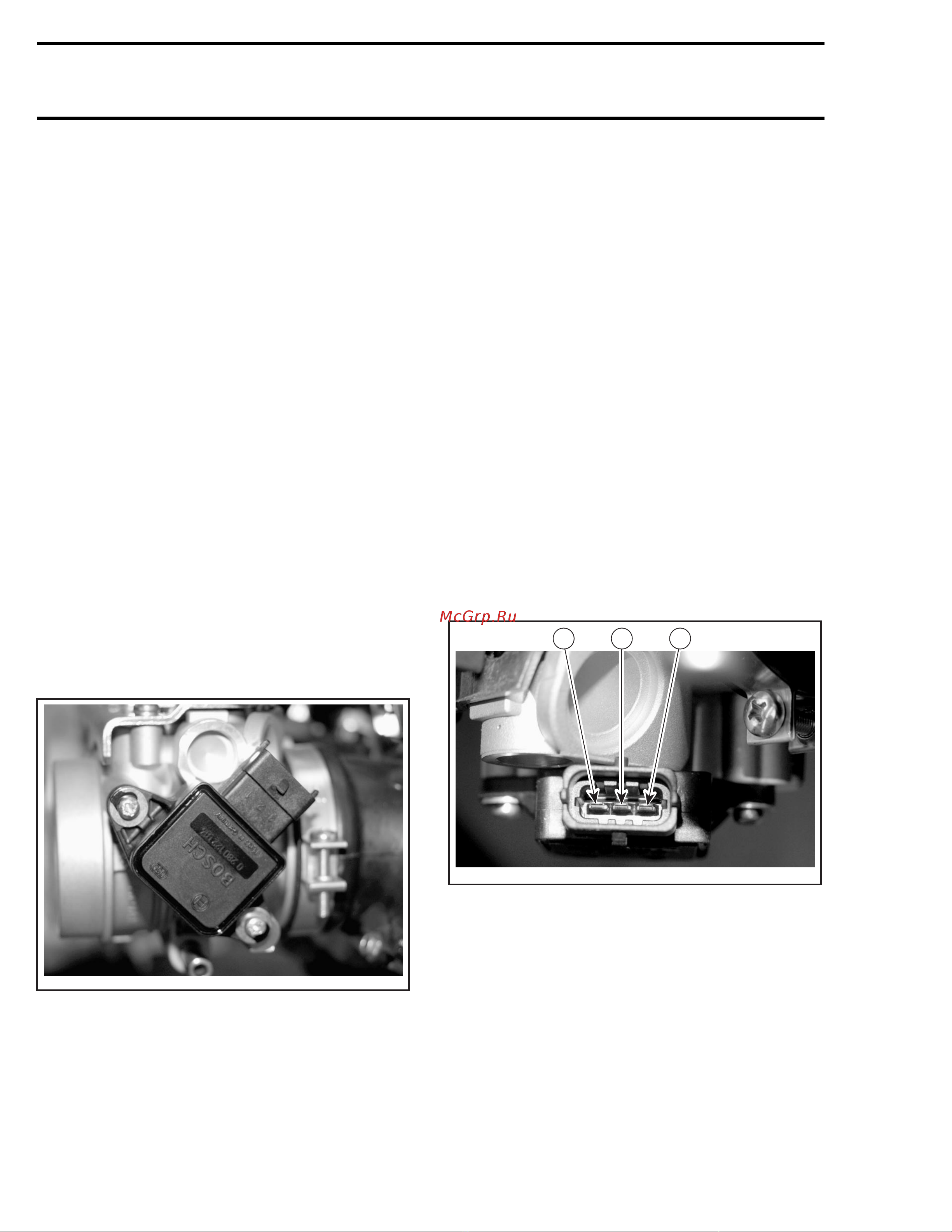 Ski-Doo Ski Doo MX Z 2005 [281/1429] Throttle position sensor tps
