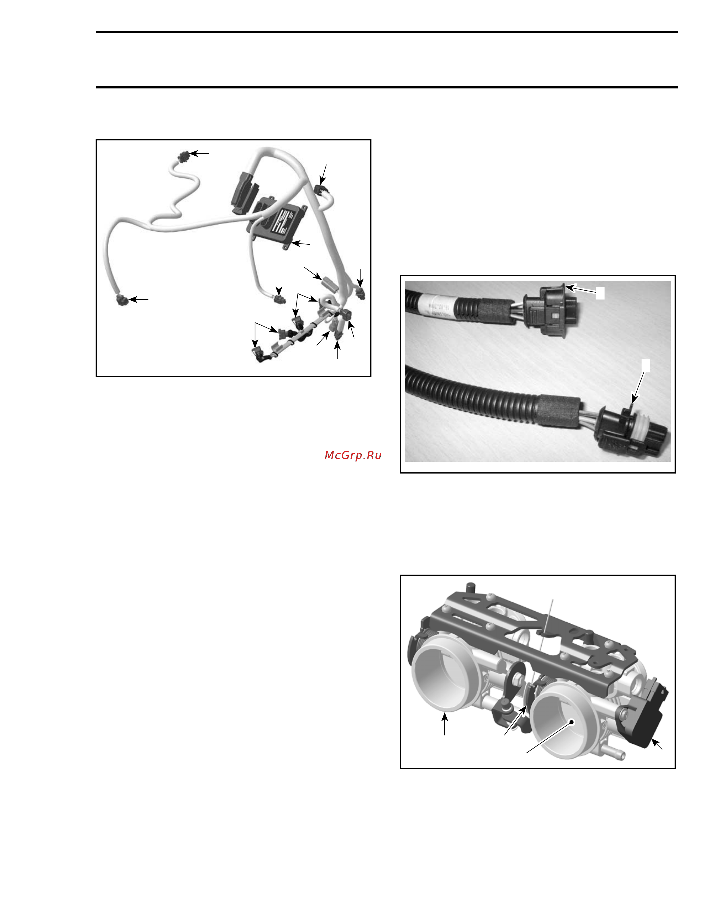 Ski-Doo Ski Doo MX Z 2005 [666/1429] Engine wiring harness