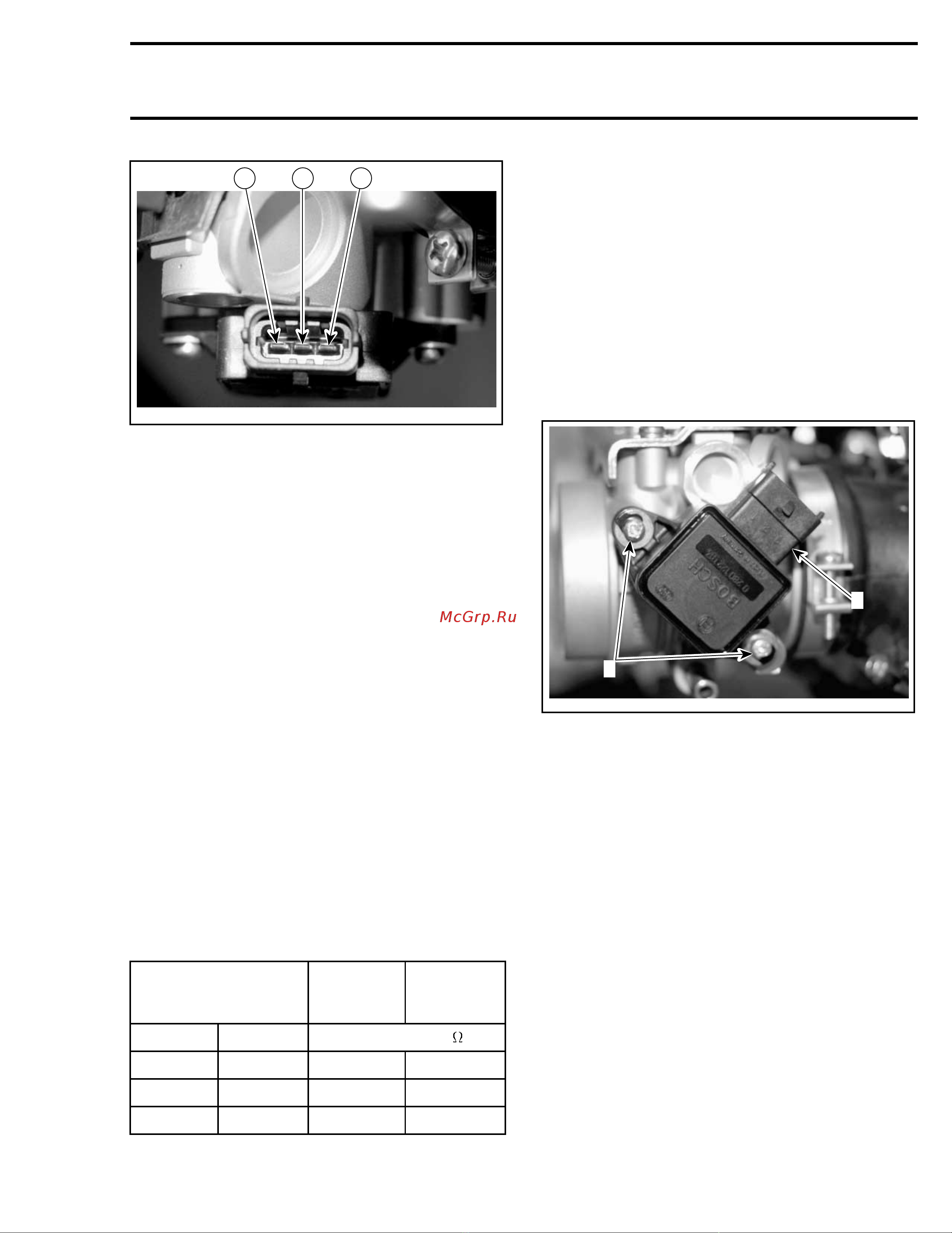 Ski-Doo Ski Doo MX Z 2005 [670/1429] Closed throttle reset