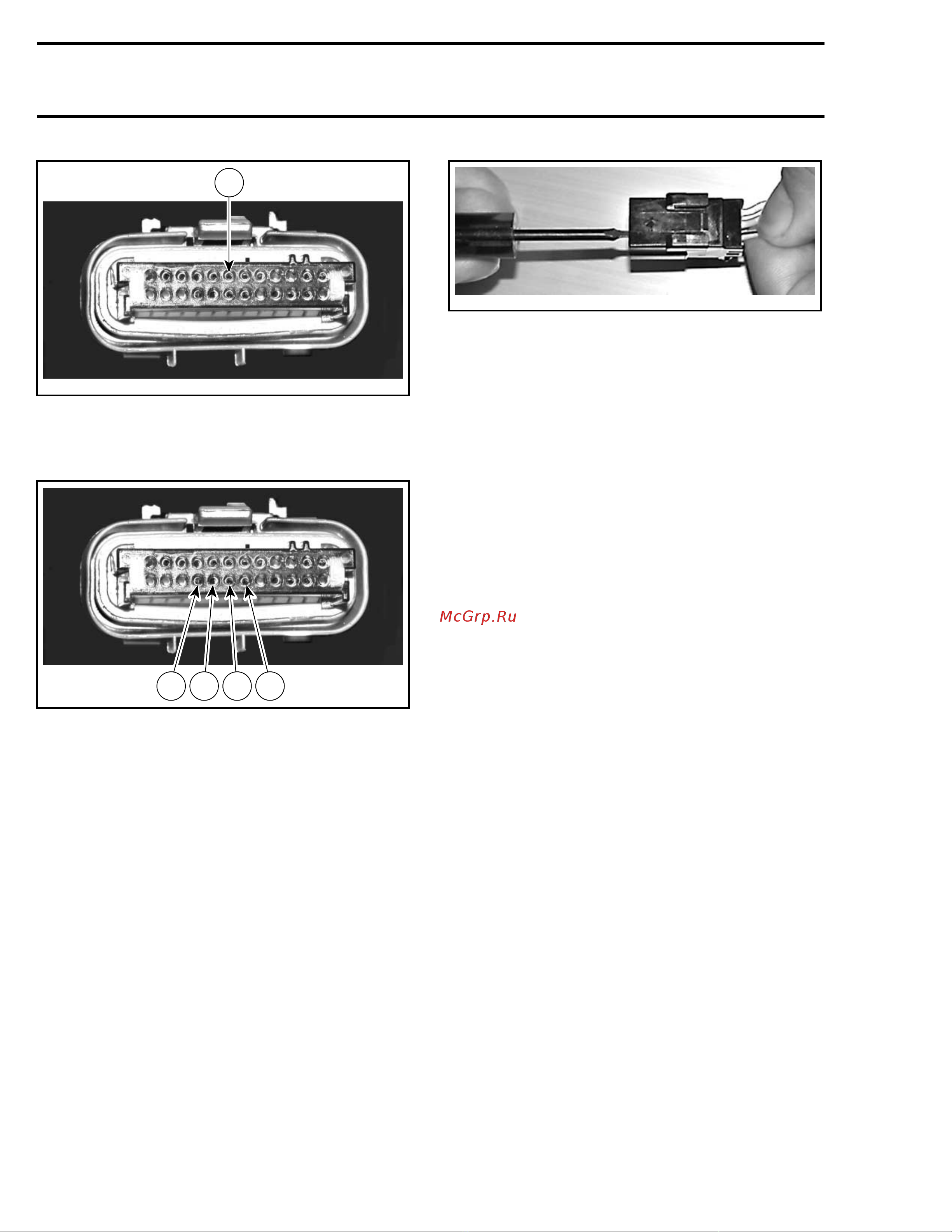 Ski-Doo Ski Doo MX Z 2005 [703/1429] Taillight