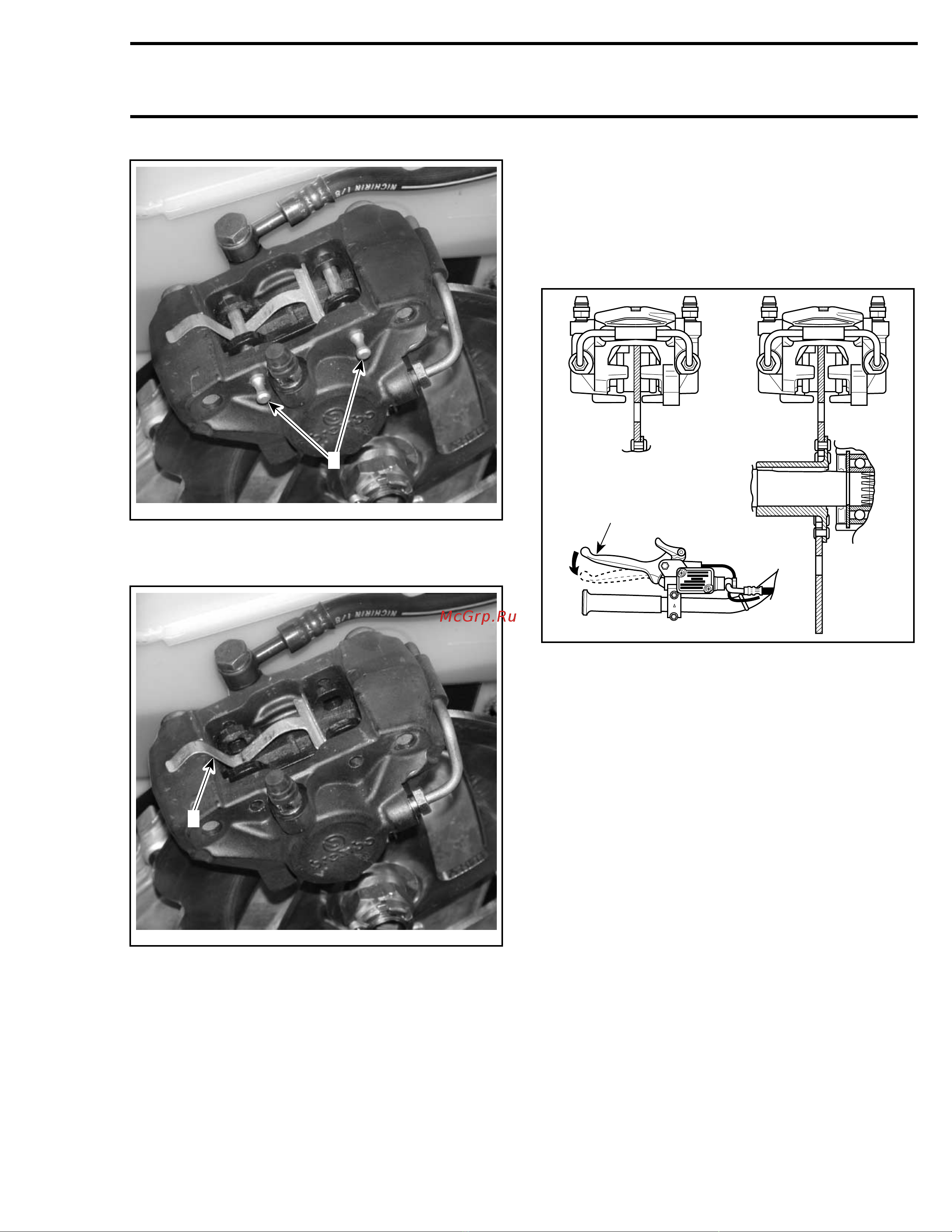 Ski-Doo Ski Doo MX Z 2005 [738/1429] Caliper