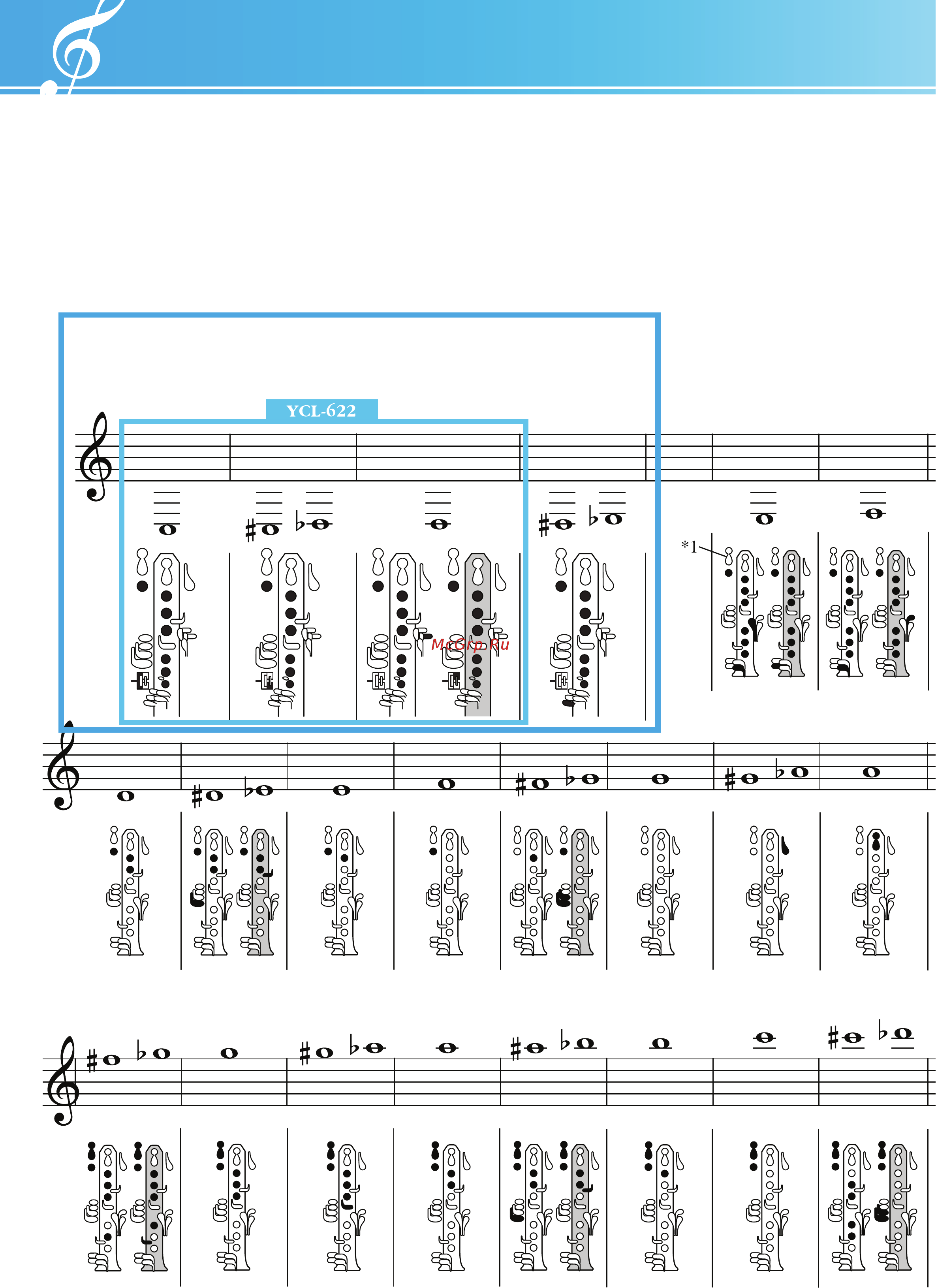 Yamaha YCL-450N [12/14] Таблица аппликатуры