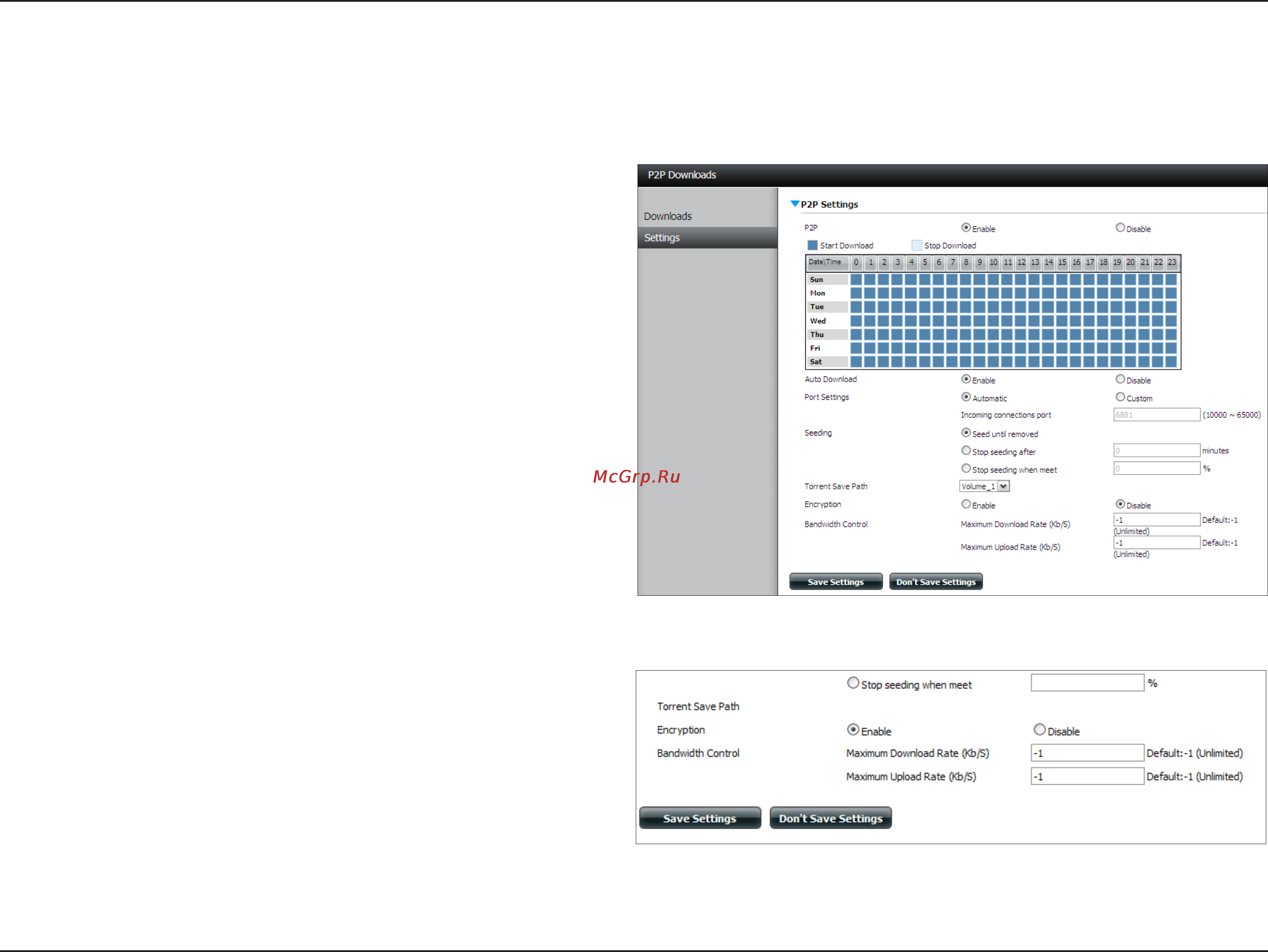 D-Link DNS-320 [95/117] P2p downloads settings