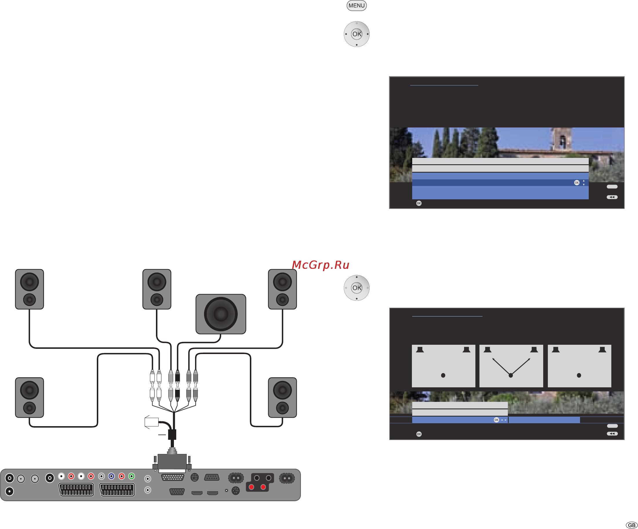 Loewe Individual 46 Compose Full-HD+ [41/60] Operating additional equipment