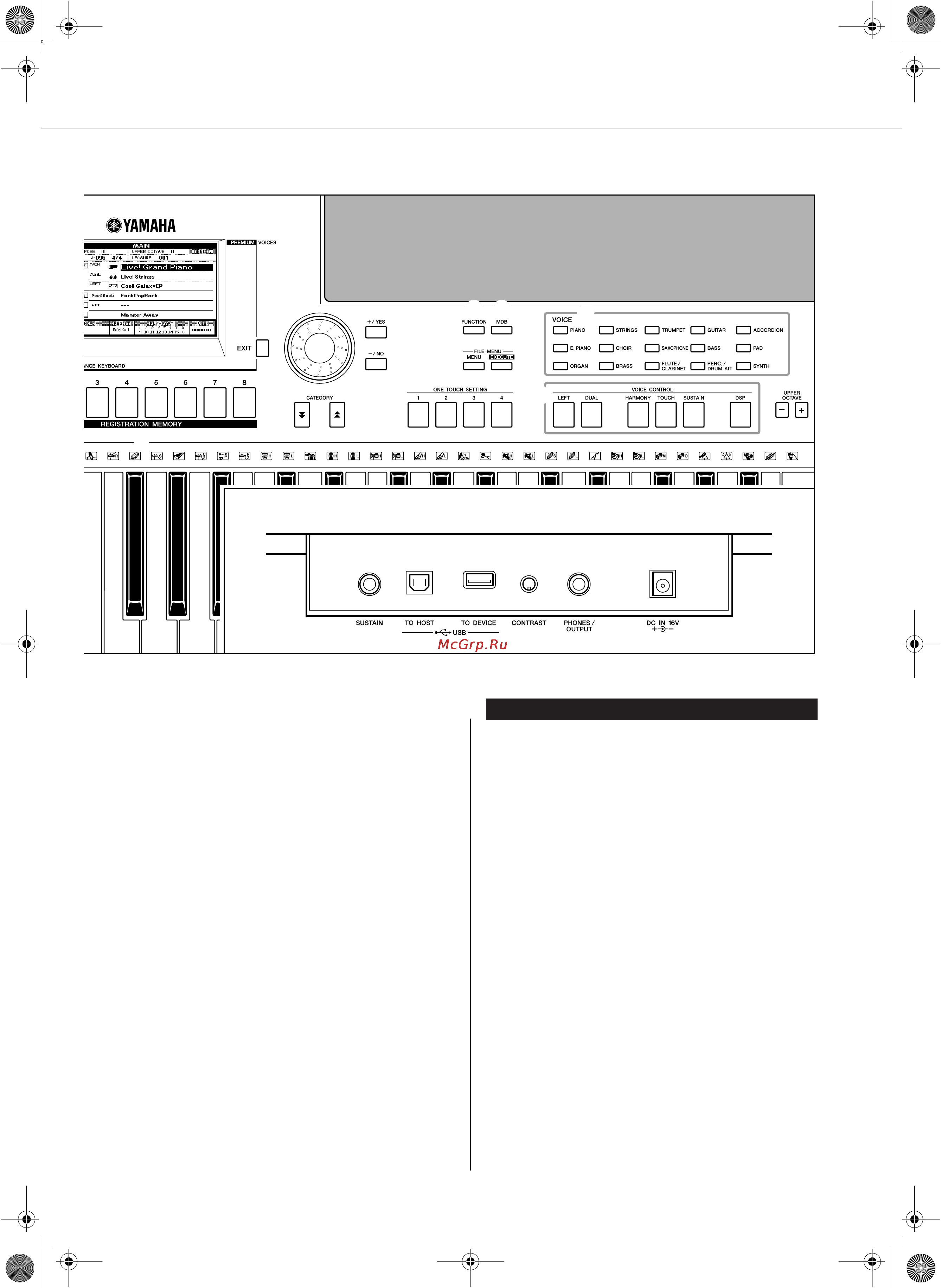 Yamaha PSR-S500 [15/122] Задняя панель