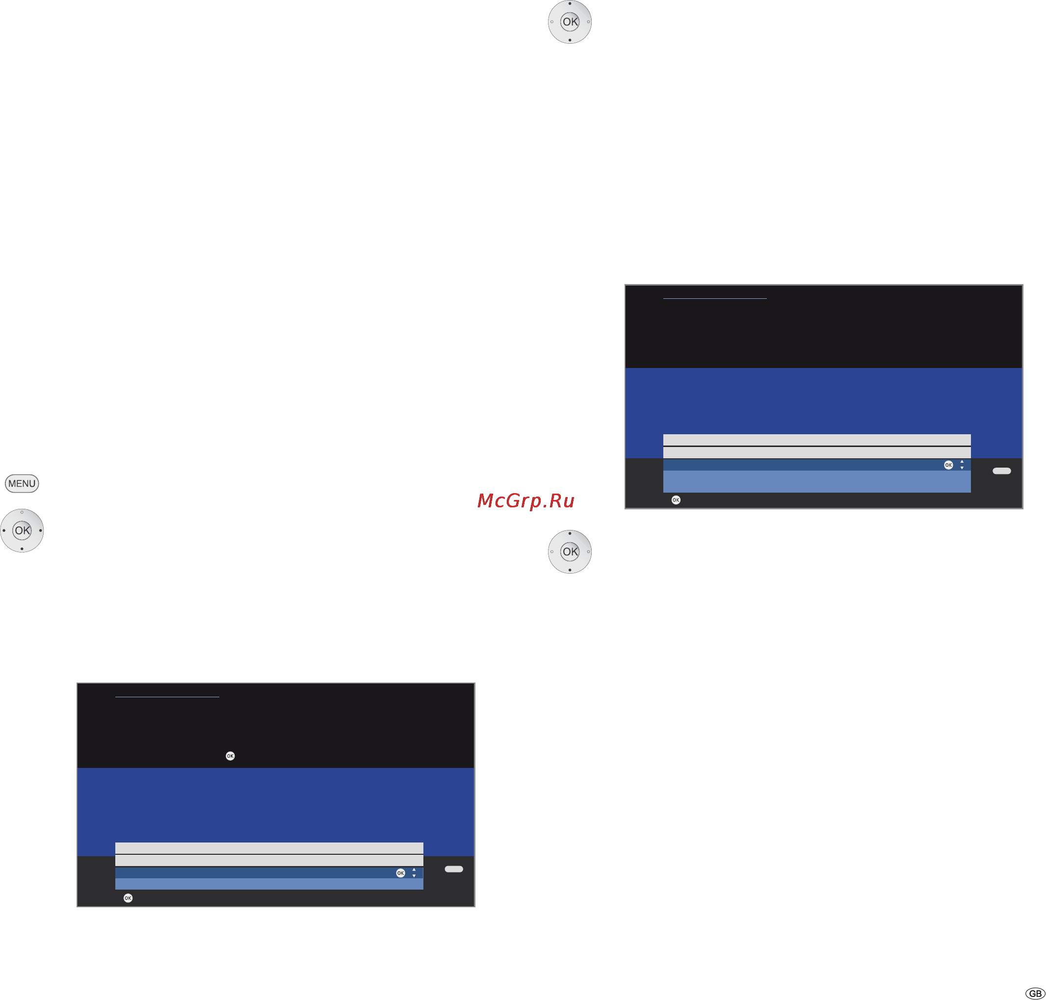 Loewe Individual 32 Selection HD+ [33/60] Software update