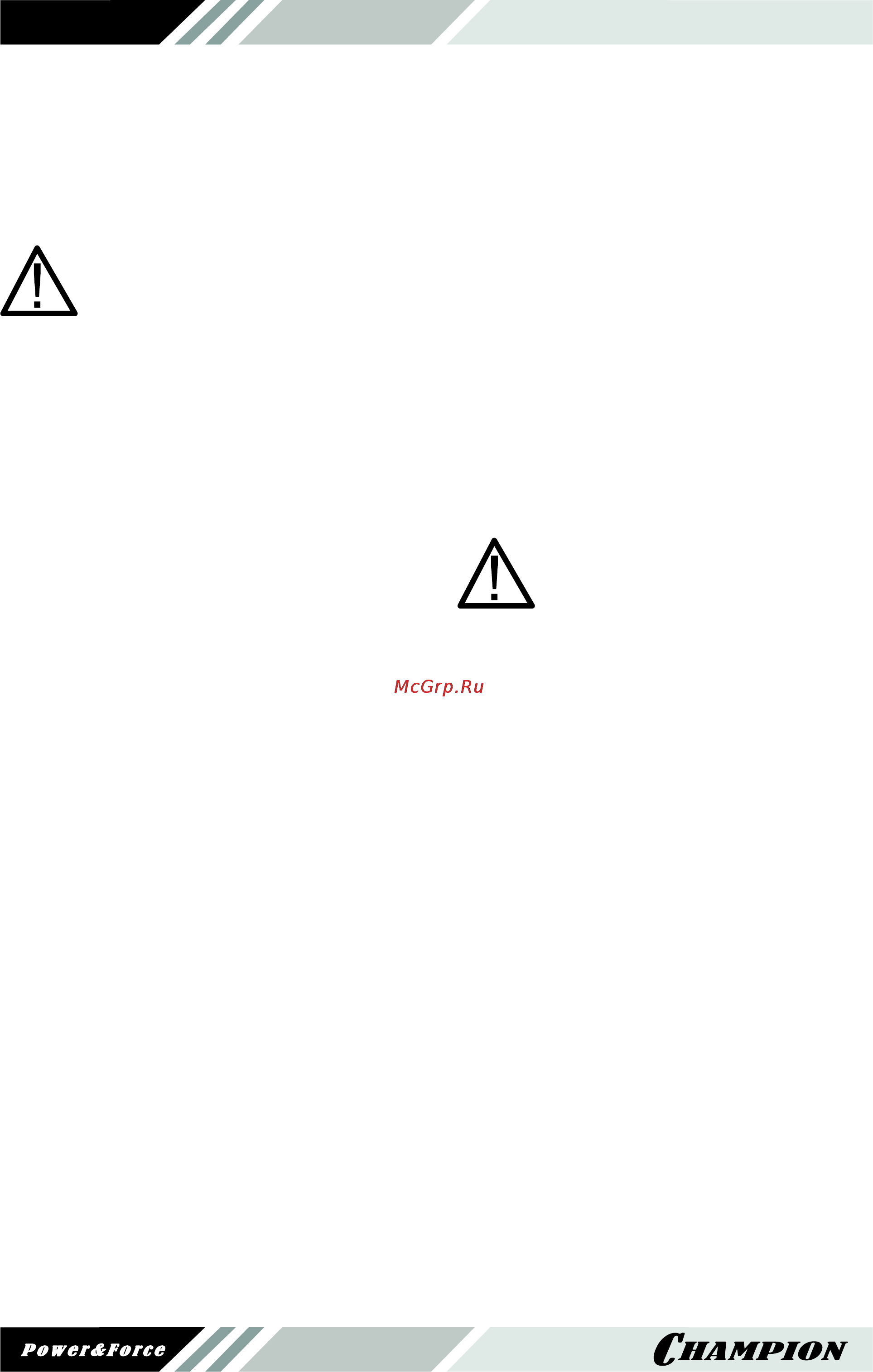 Champion BC4401.pdf [16/20] Техническое обслуживание