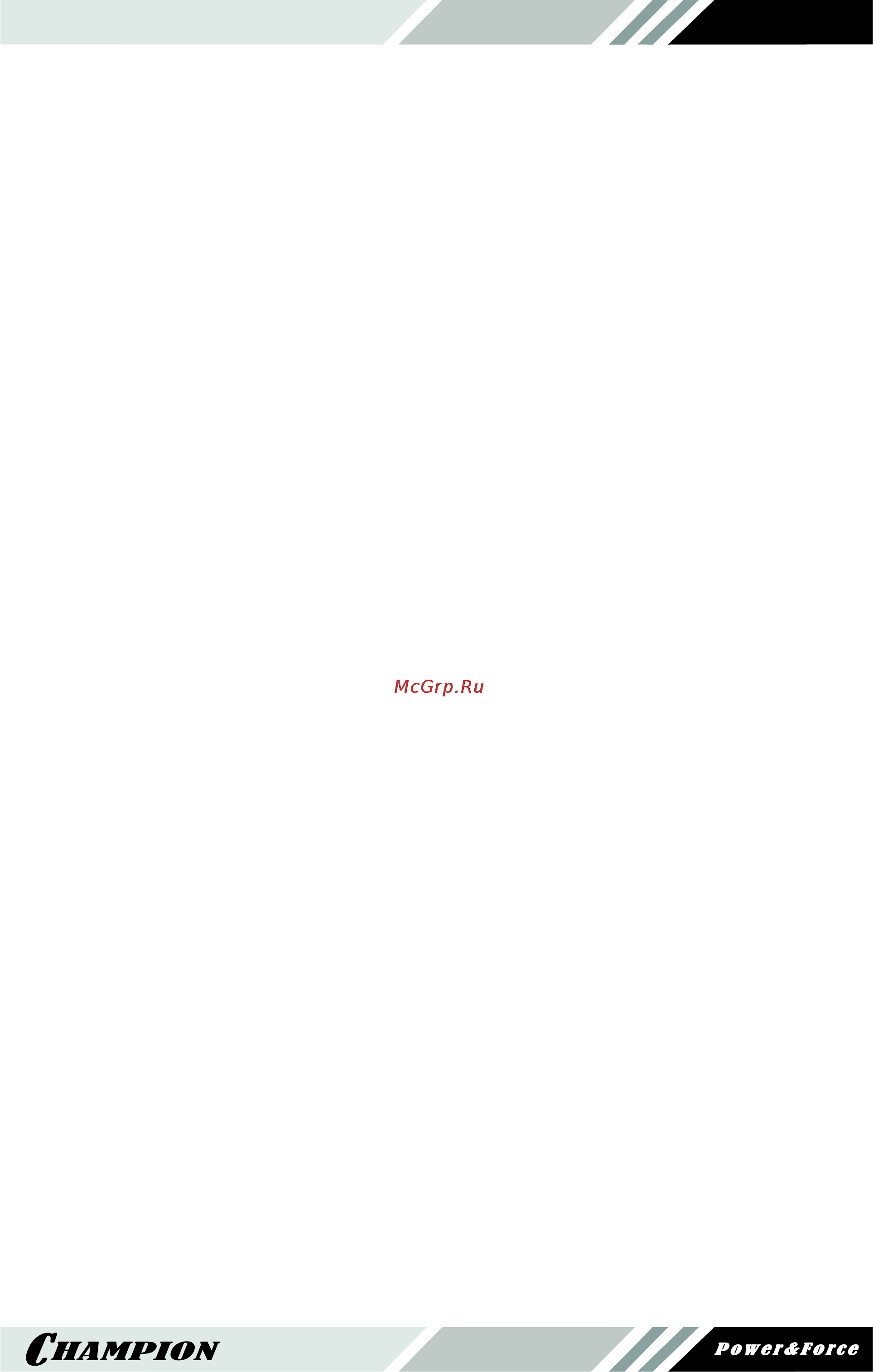 Champion BC4401.pdf [5/20] Меры предосторожности