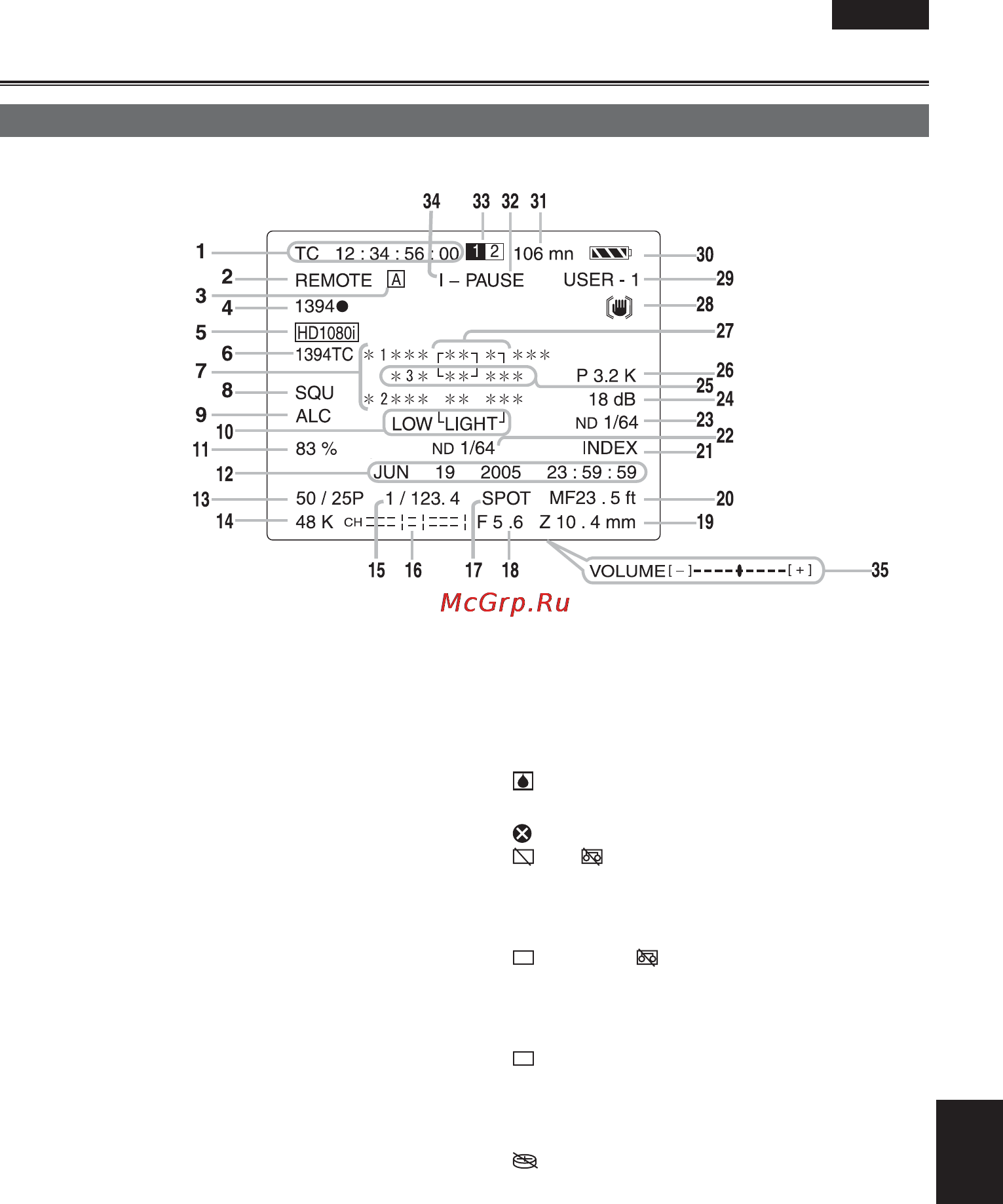 Panasonic AG-HVX204AER [91/138] Стандартная индикация