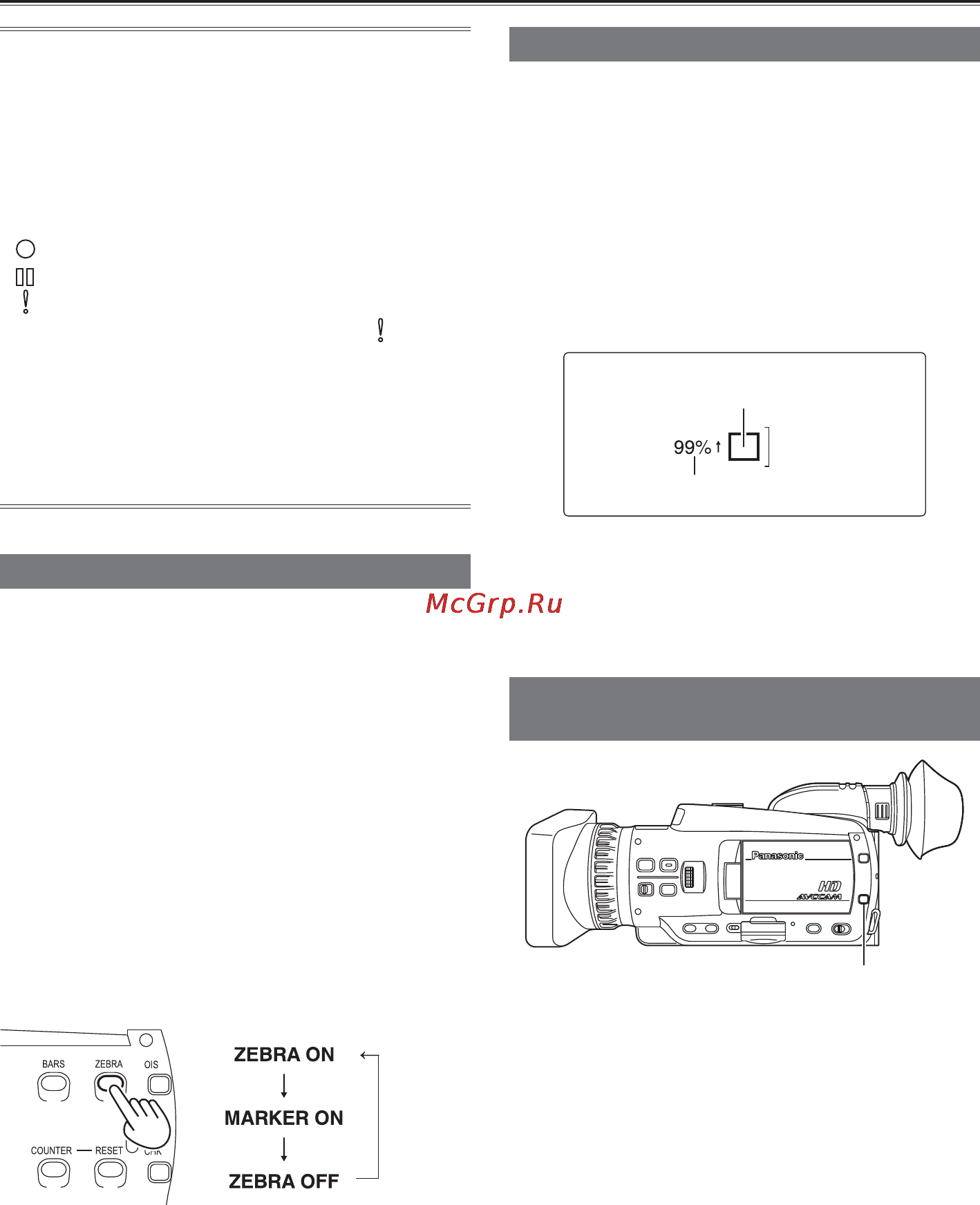 Panasonic AG-HMC41EU [30/69] Зебра
