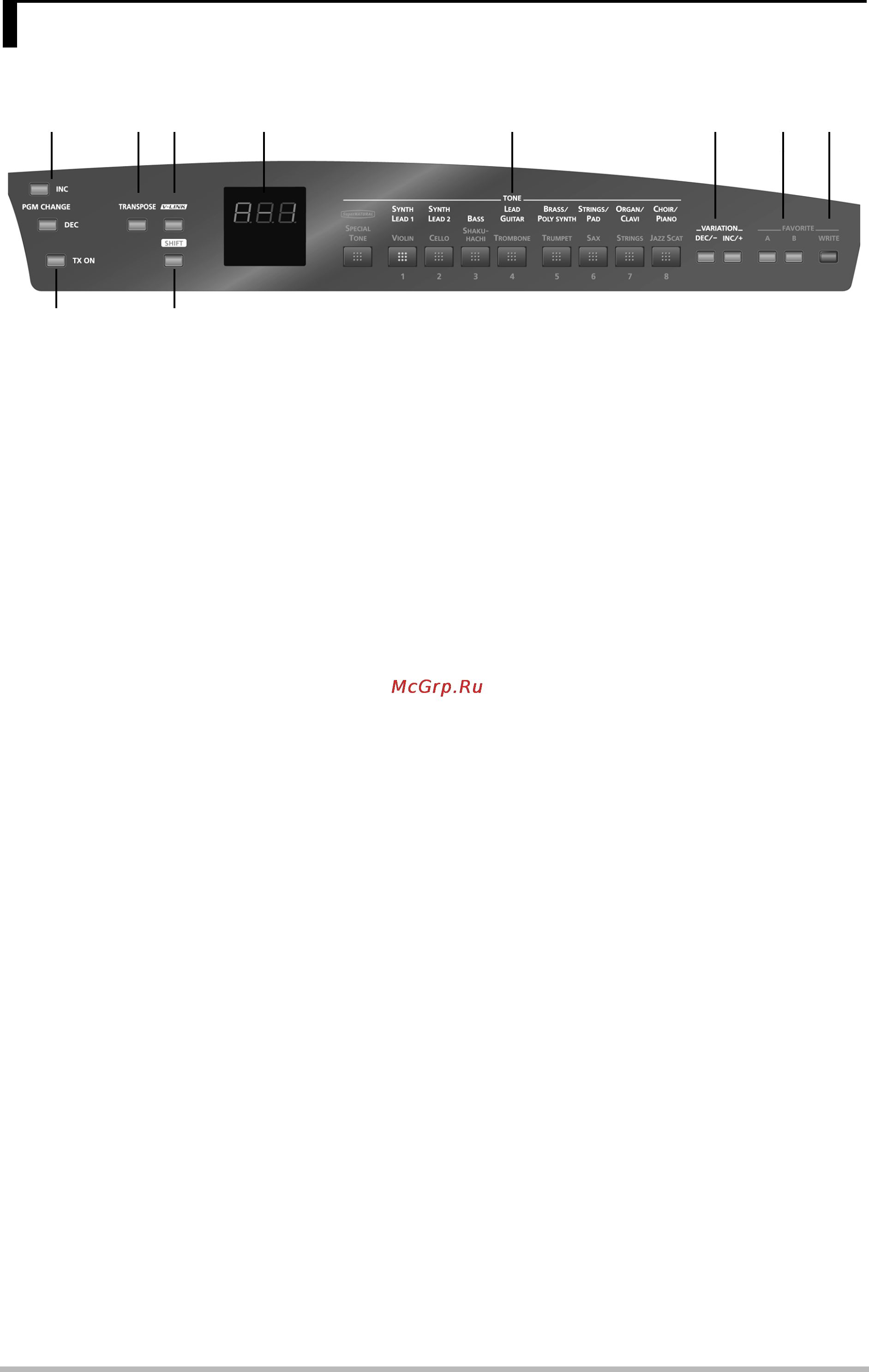 Roland AX-SYNTH-BK [10/42] Ф кнопки pgm change inc и dec