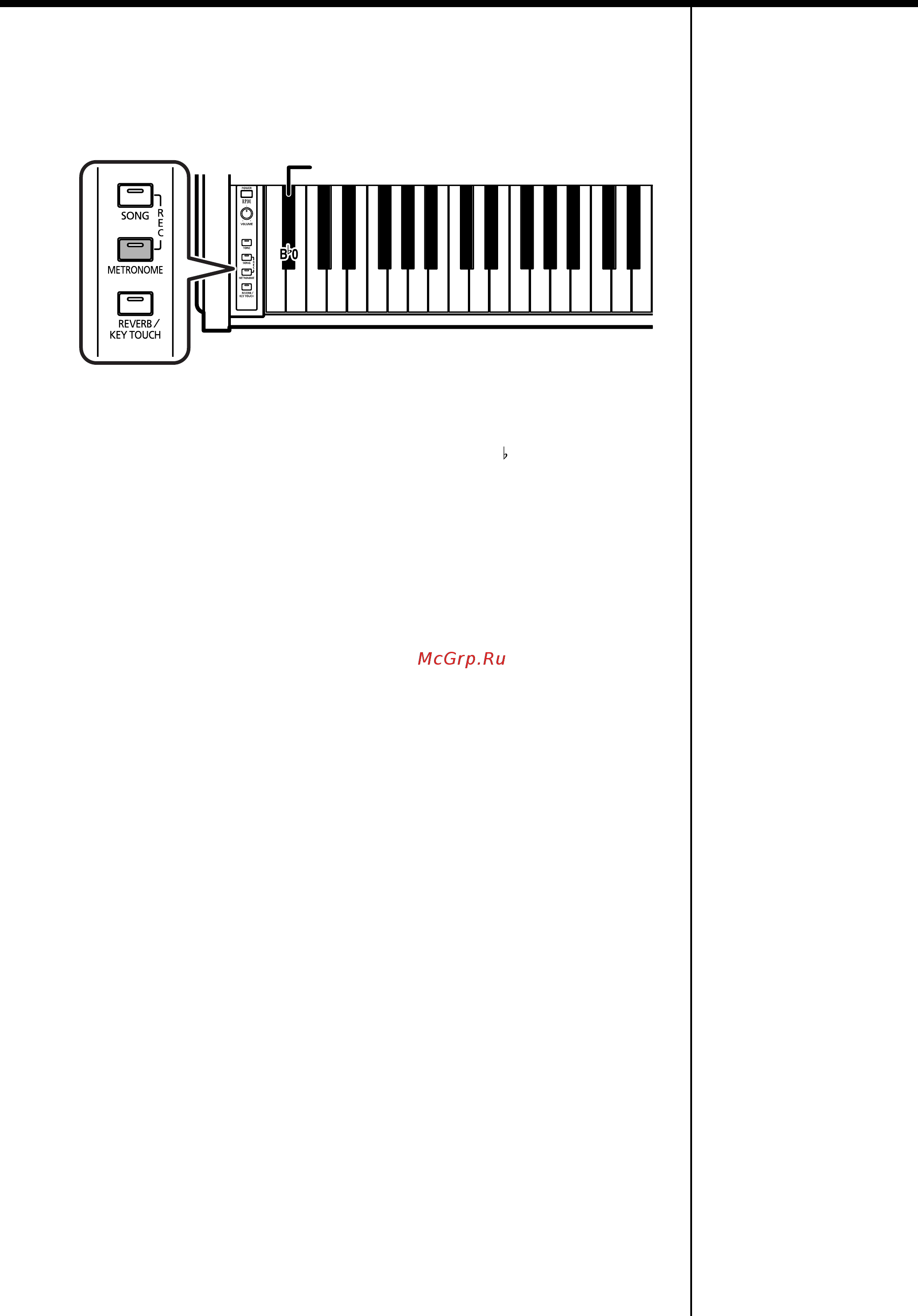 Roland RP101-ERW [29/48] Шиши