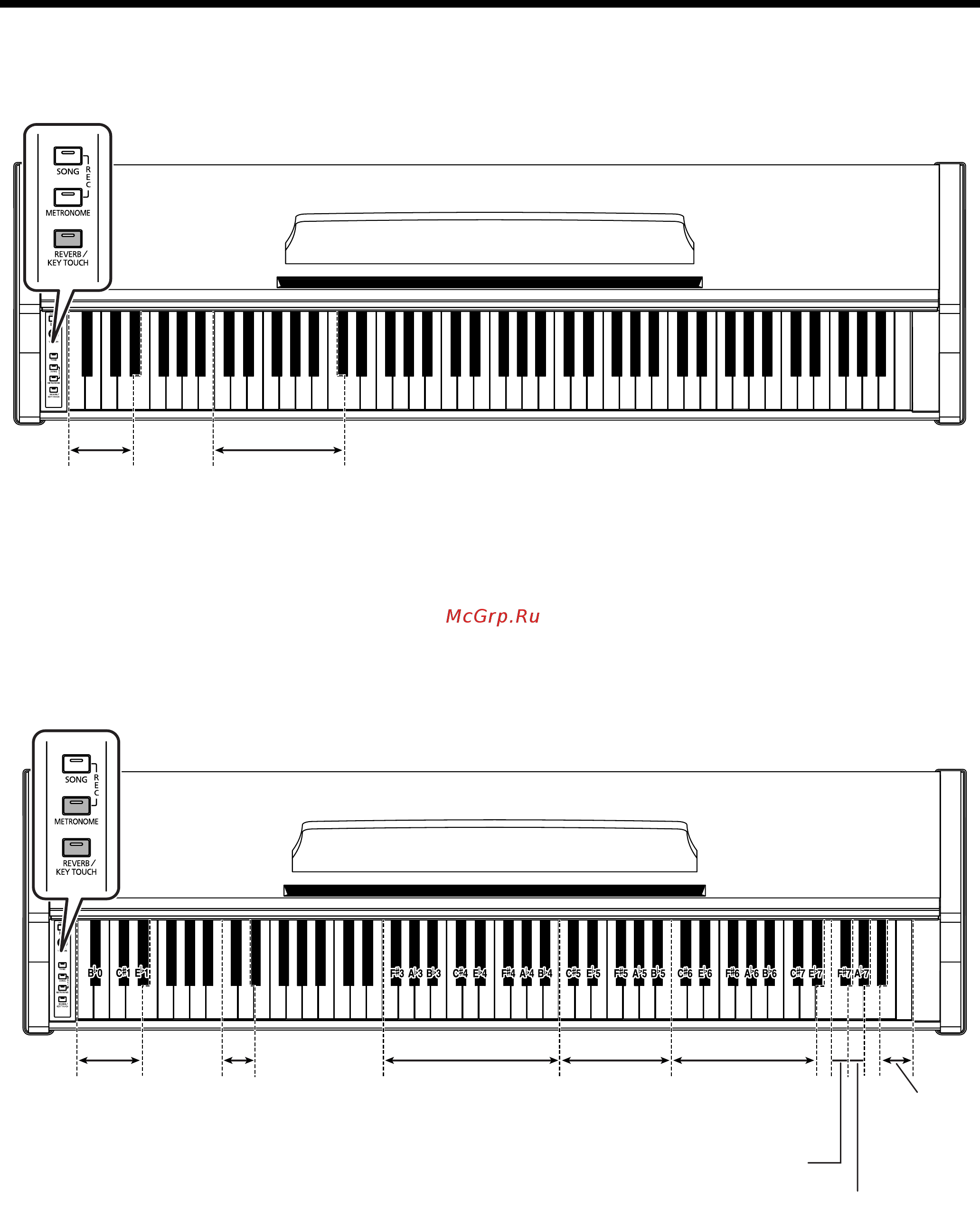 Roland RP101-ERW [45/48] Резонанса демпферов
