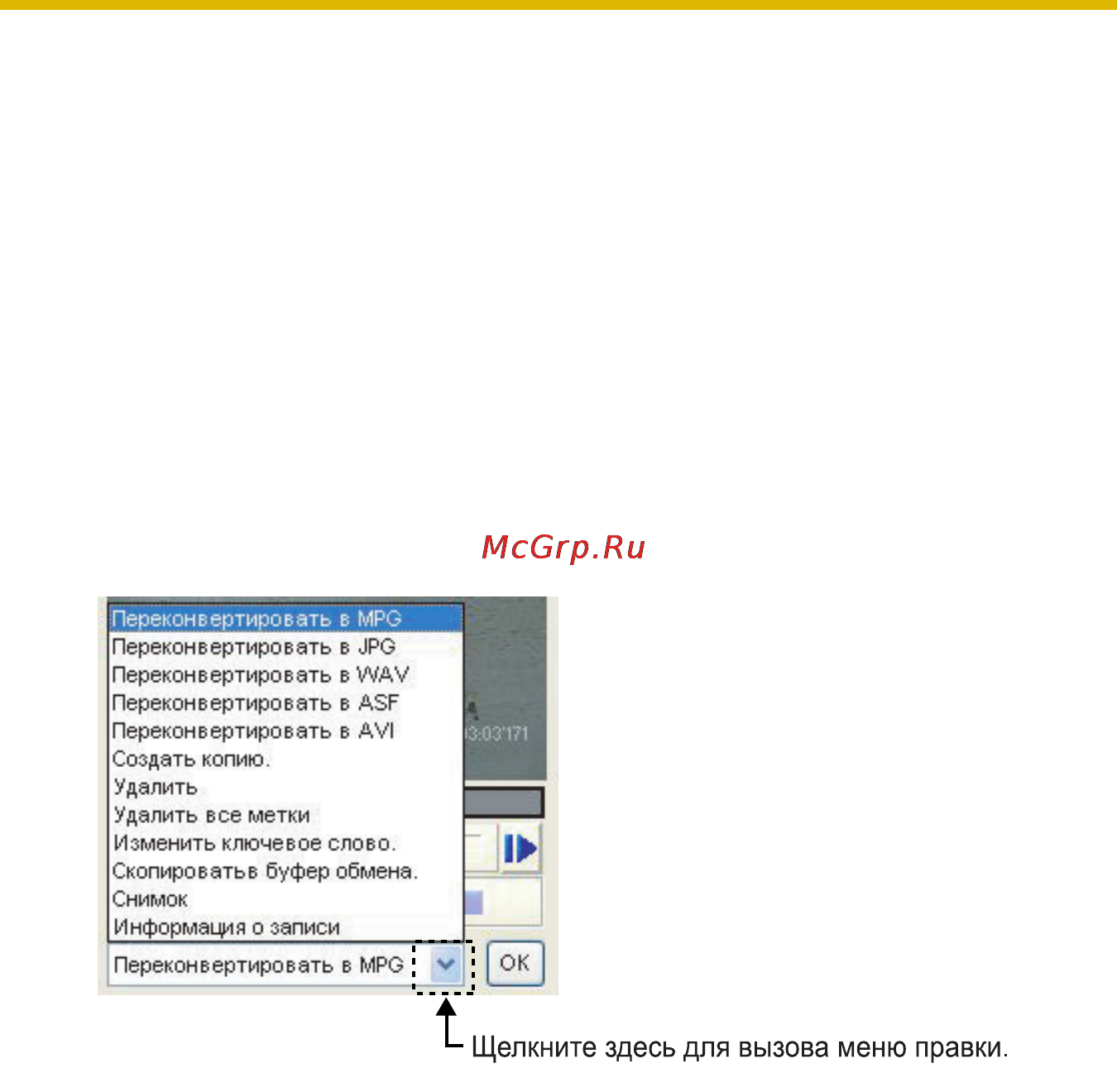 Panasonic BB-HNP15 [108/193] Преобразование записанных изображений