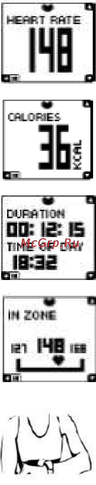 Polar FT4 Инструкция по эксплуатации онлайн [5/10] 14567
