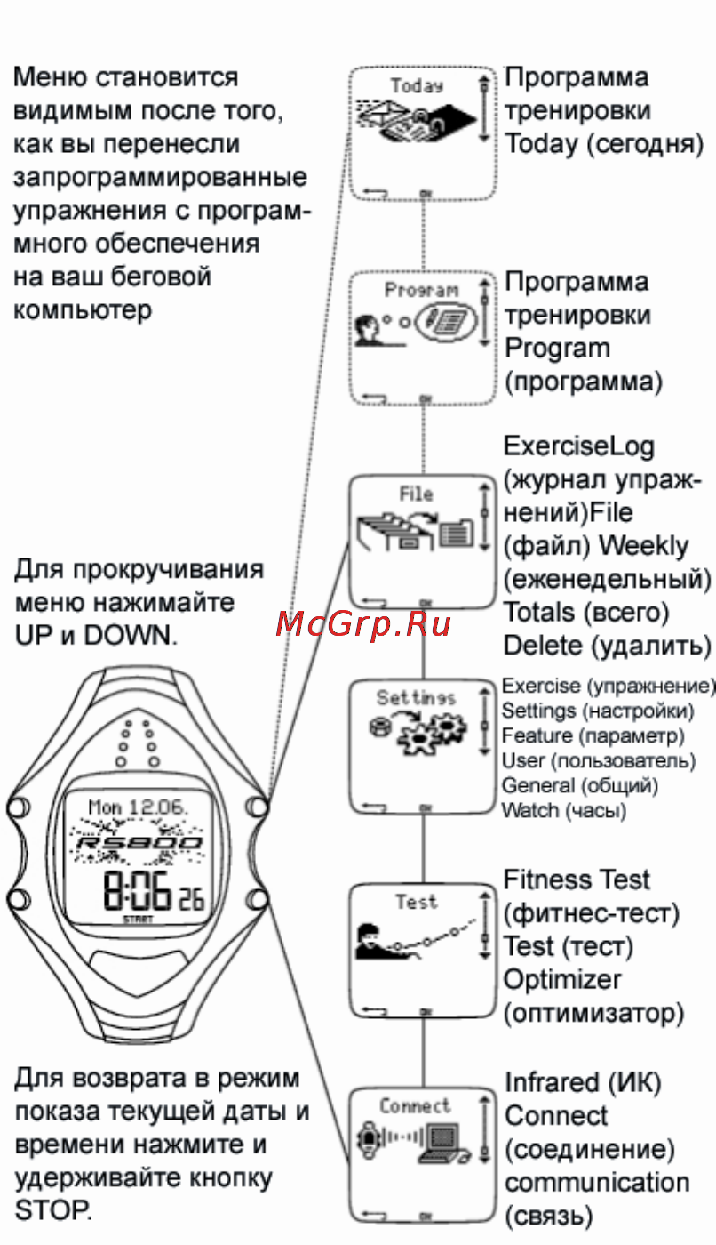 Polar RS800CX [6/53] Надевание передатчика