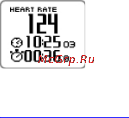 Polar RCX5 Инструкция по эксплуатации онлайн [12/14] 14660
