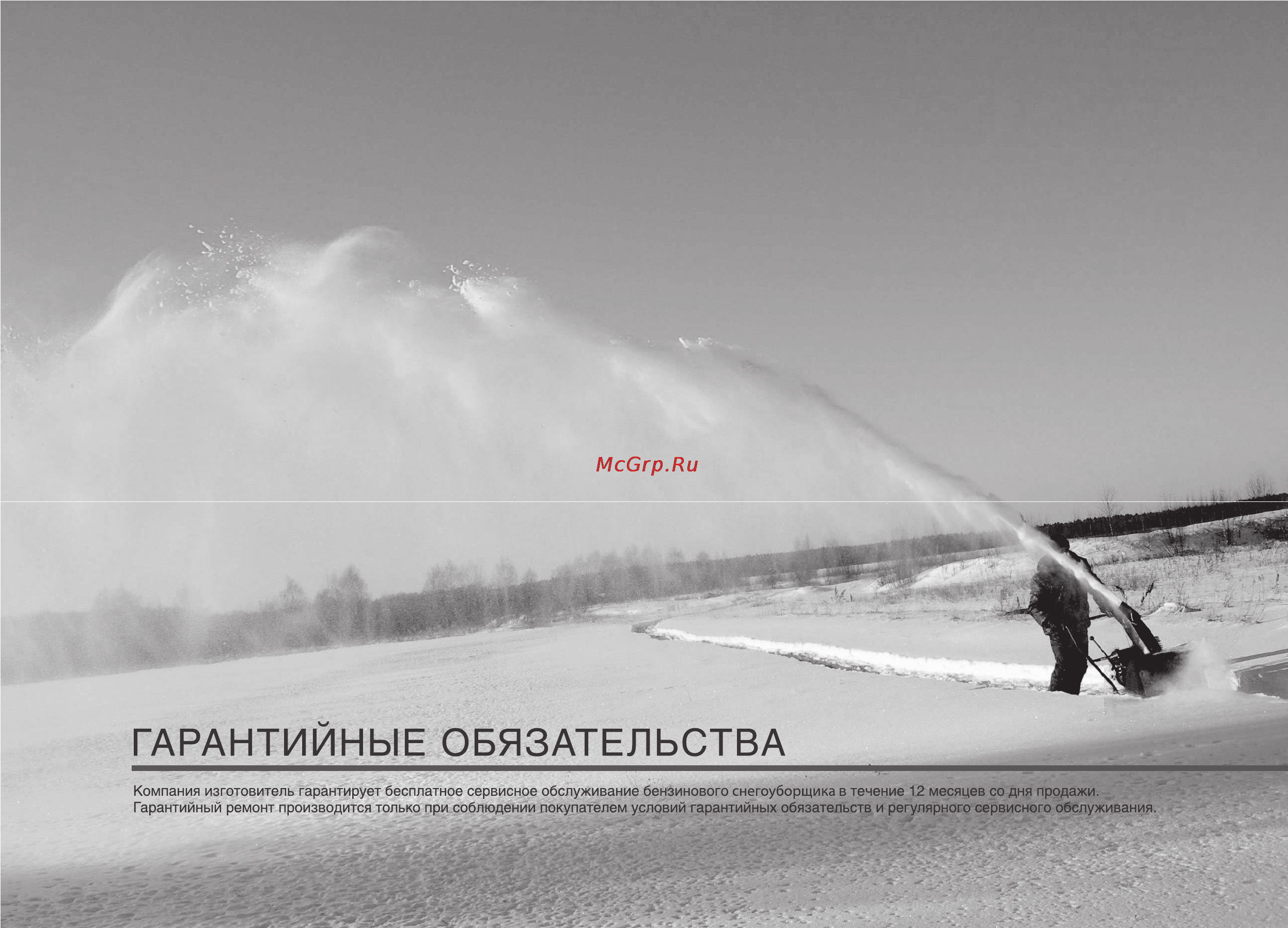Patriot Garden PS 1100 DDE Инструкция по эксплуатации онлайн [54/64] 14879