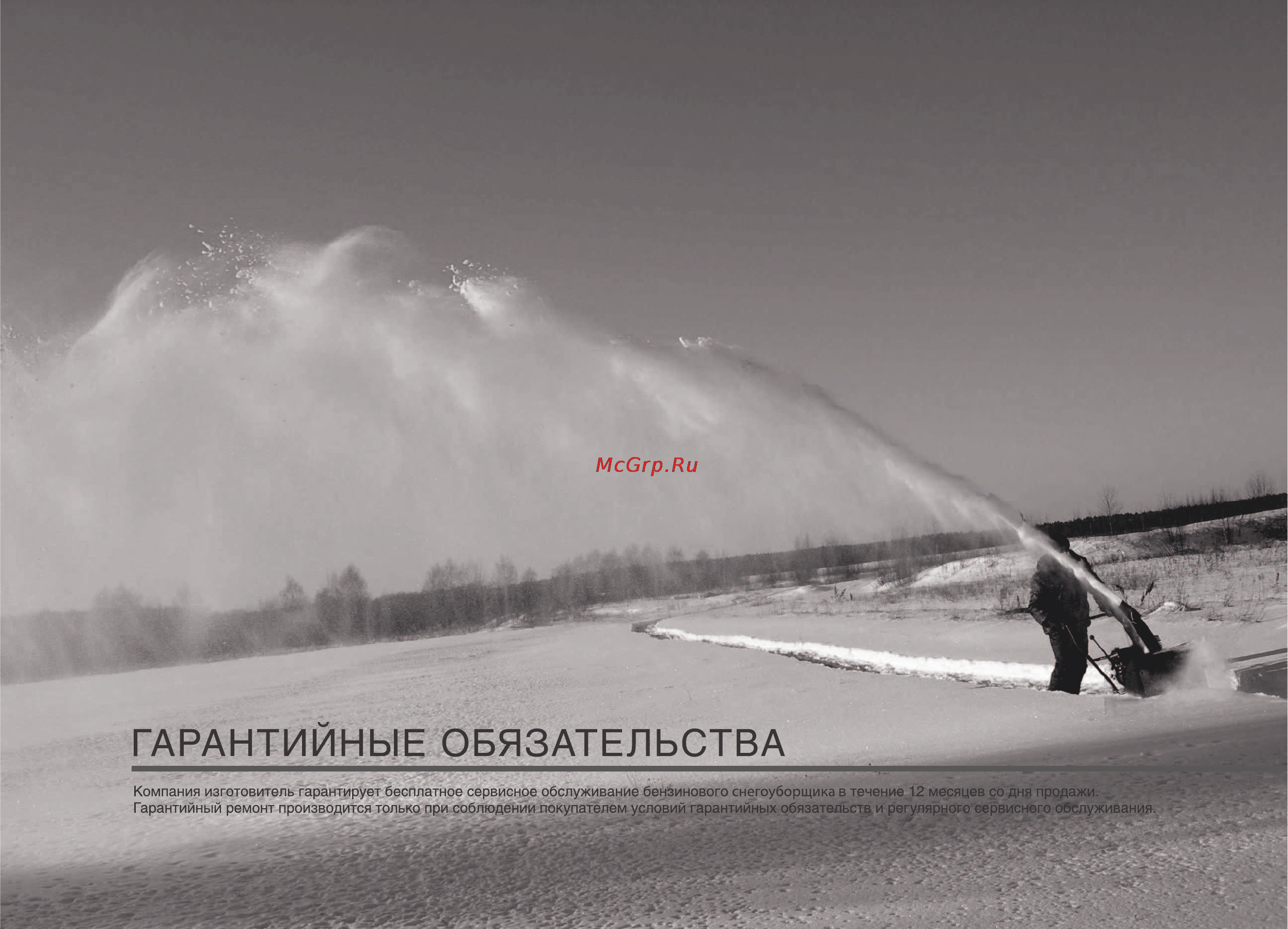 Patriot Garden 761 DDE Инструкция по эксплуатации онлайн [60/70] 14893