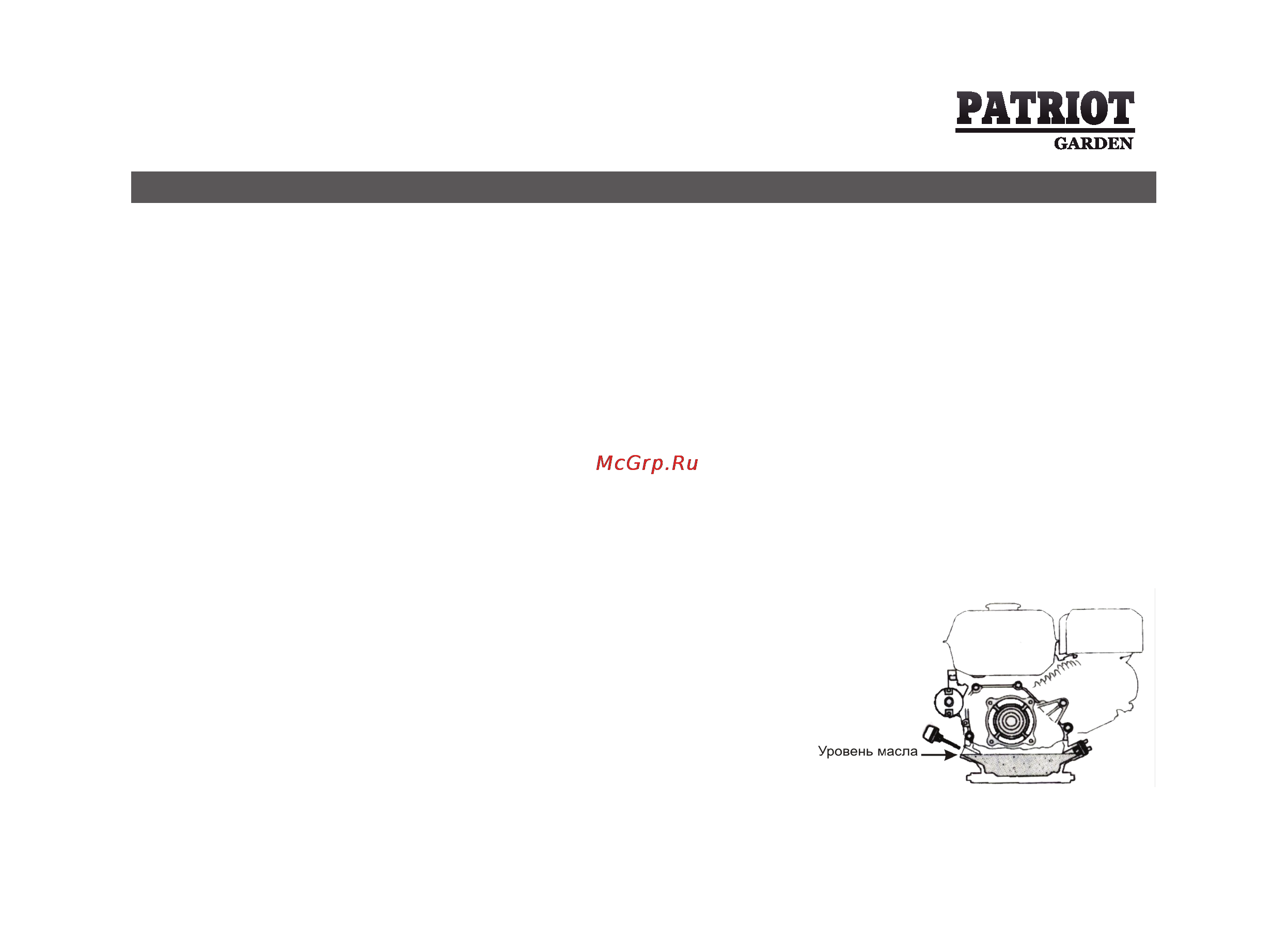 Patriot Garden PS 550 D (special) [41/64] Техническое обслуживание