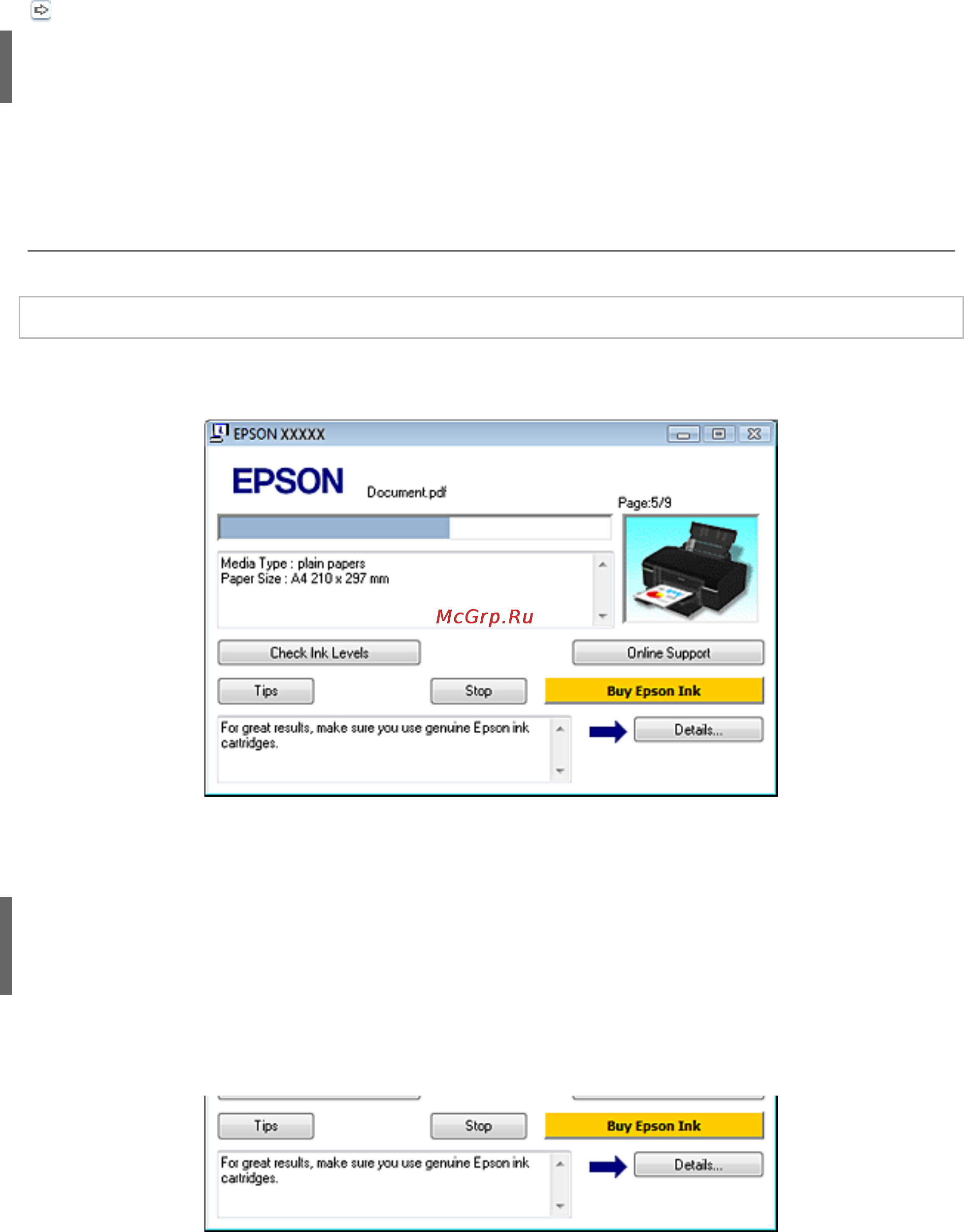Epson Stylus P50 [66/85] Проверка состояния устройства