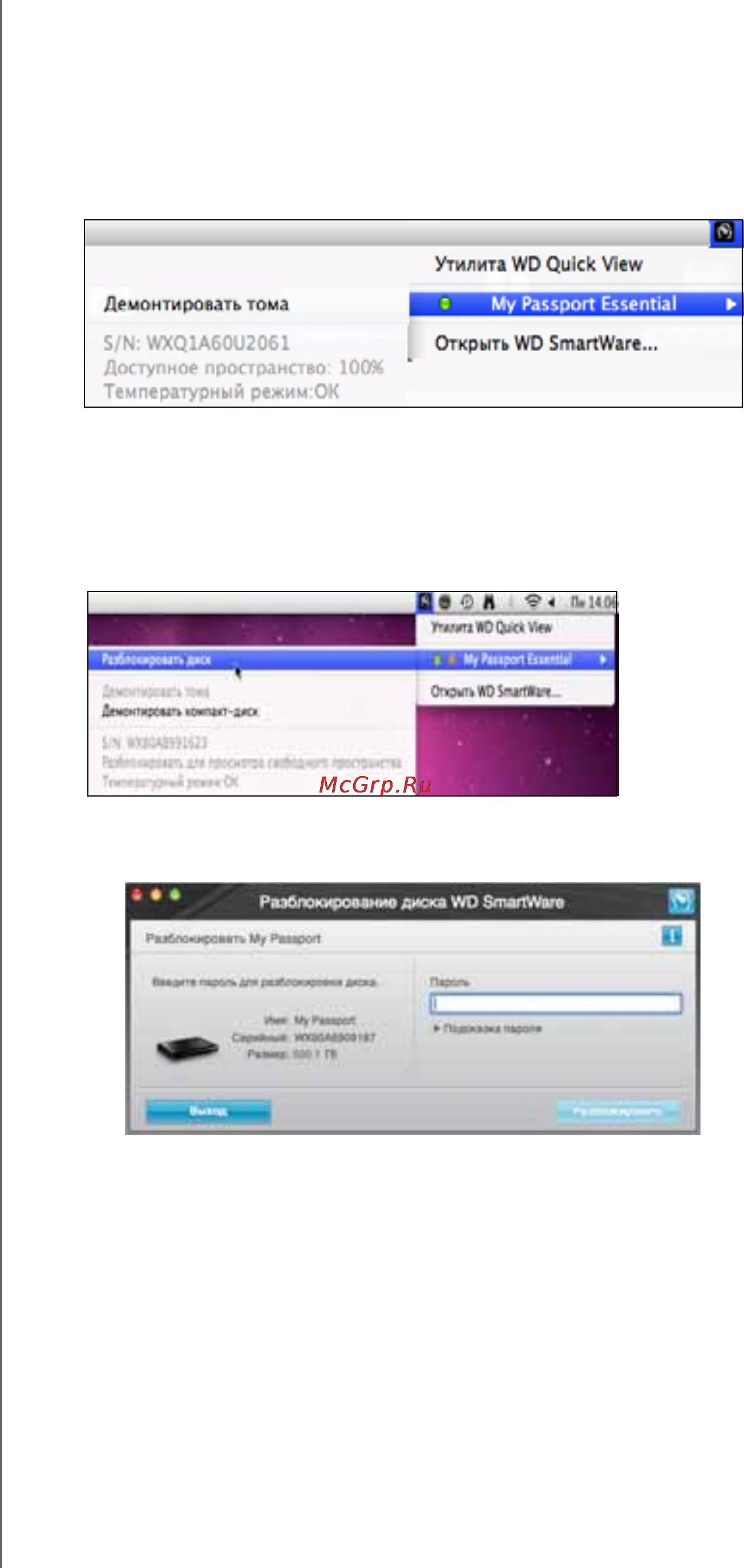 Western Digital PASSPORT ESSENTIAL 500Gb WDBADB5000ABK-EEUE [62/86] Как проверить состояние накопителя