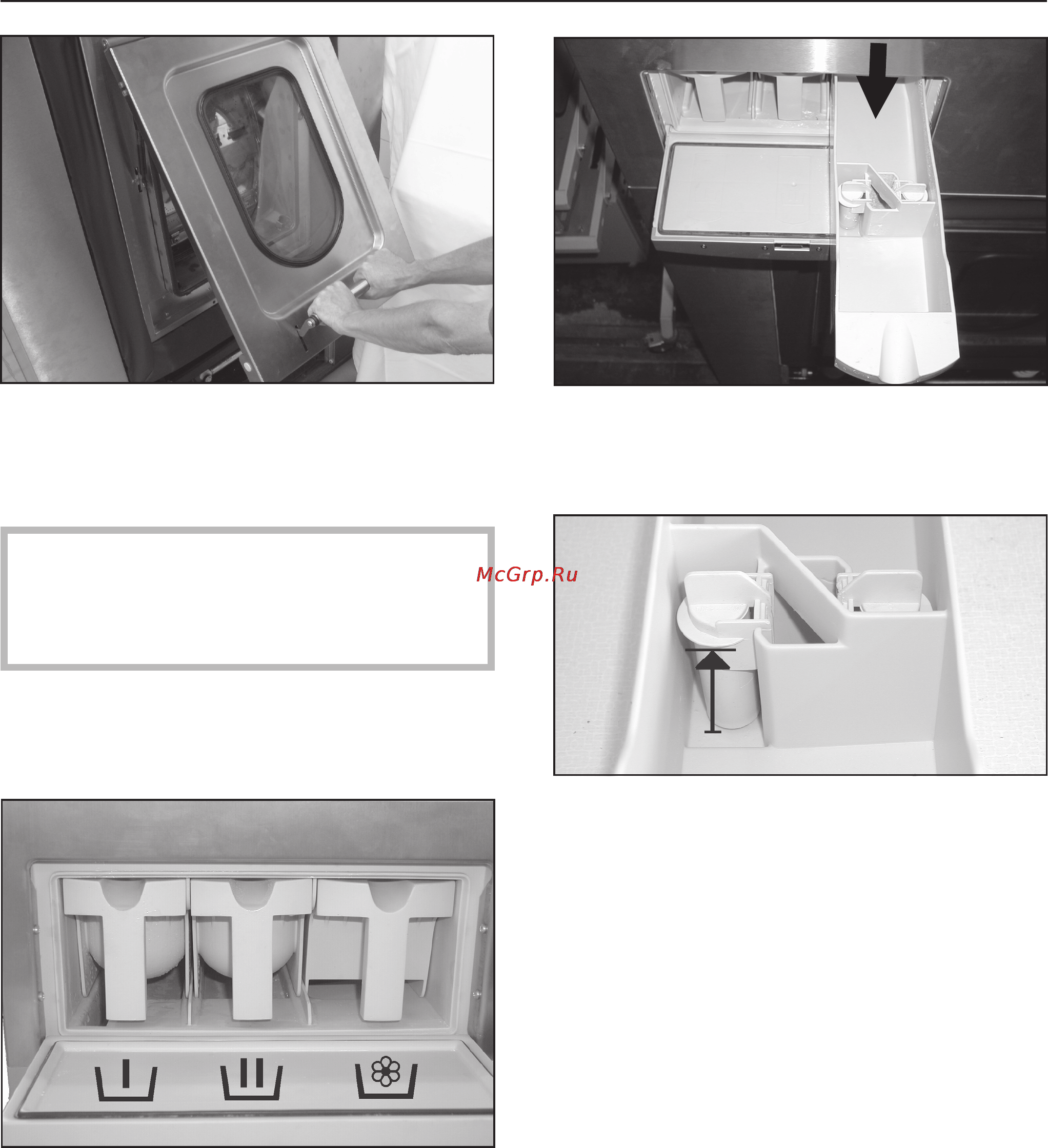 Miele PW 6163 D IND [17/48] Èñïîëüçîâàíèå ìîþ ùèõ ñðåä ñòâ 17