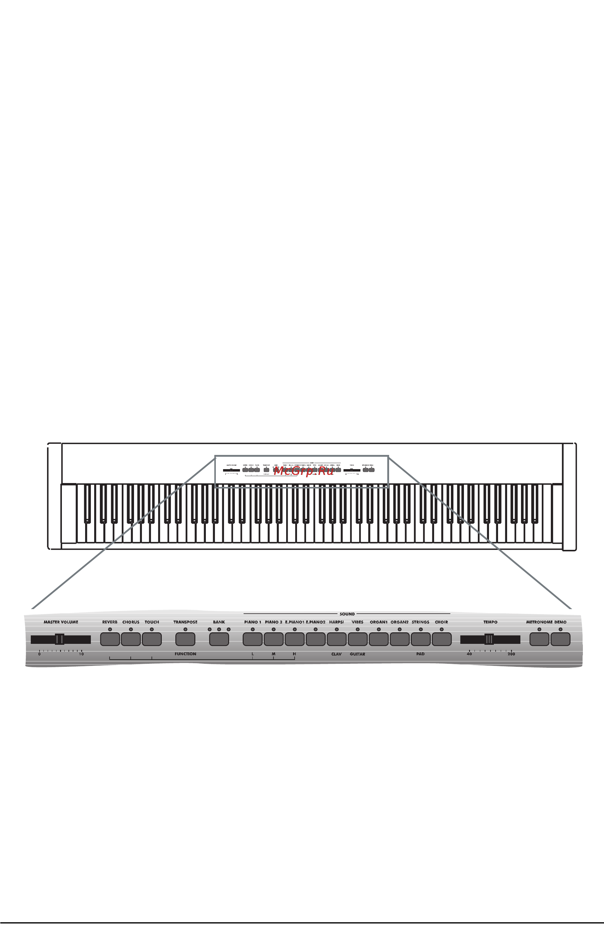 Korg SP-200 [2/8] Основные характеристики