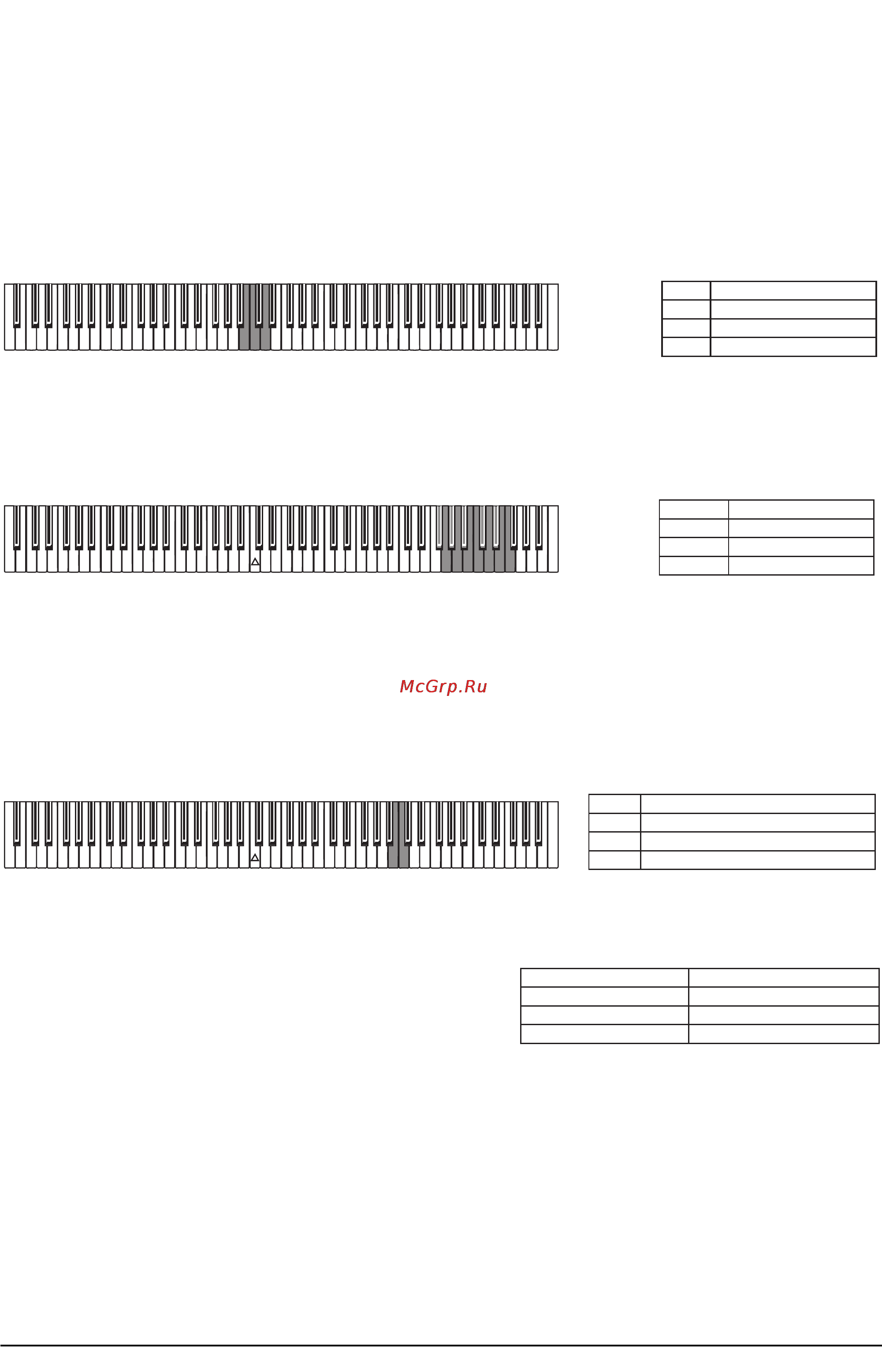 Korg SP-200 [6/8] Другие функции
