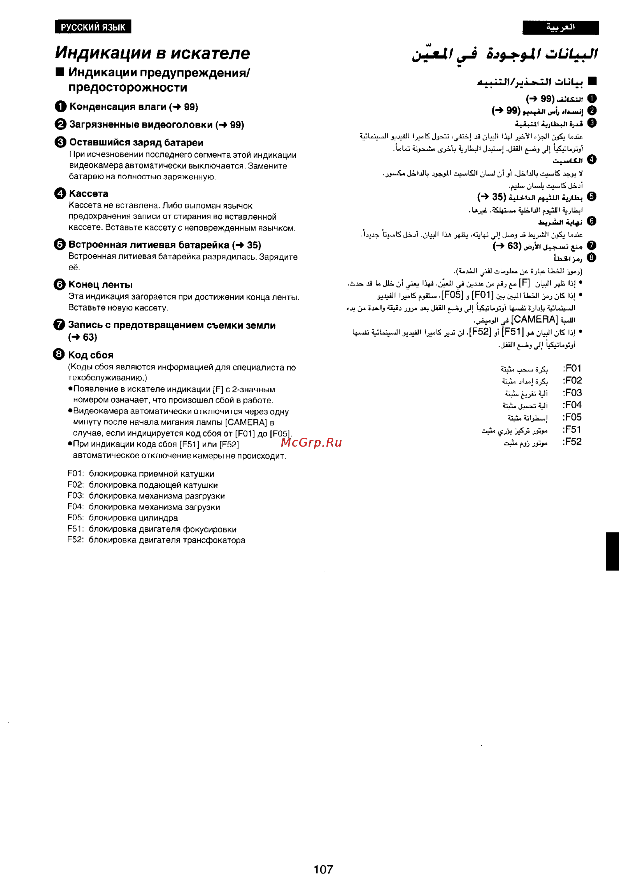 Panasonic NV-RX20EN [98/106] Индикации в искателе