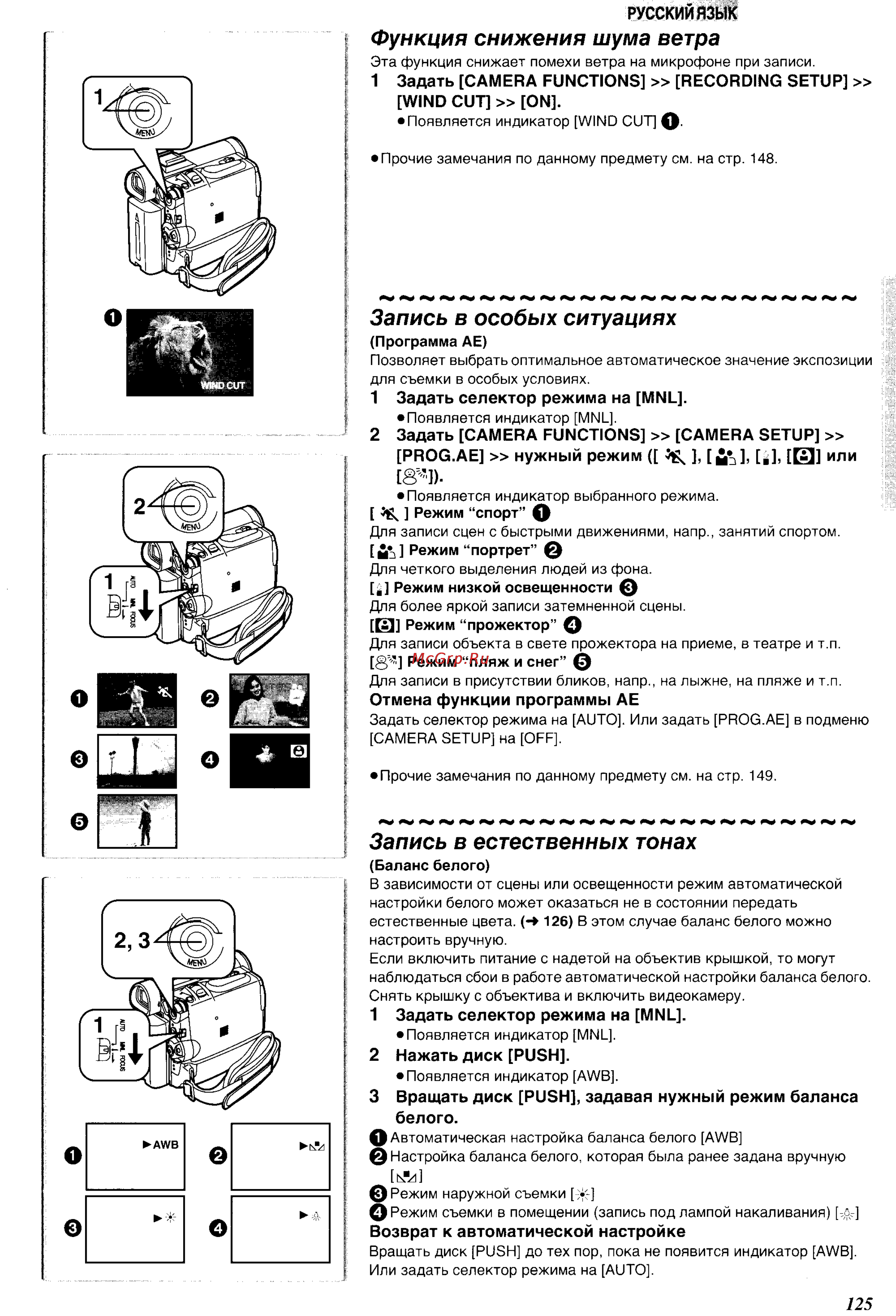 Panasonic NV-GS3EN [21/55] Запись в естественных тонах