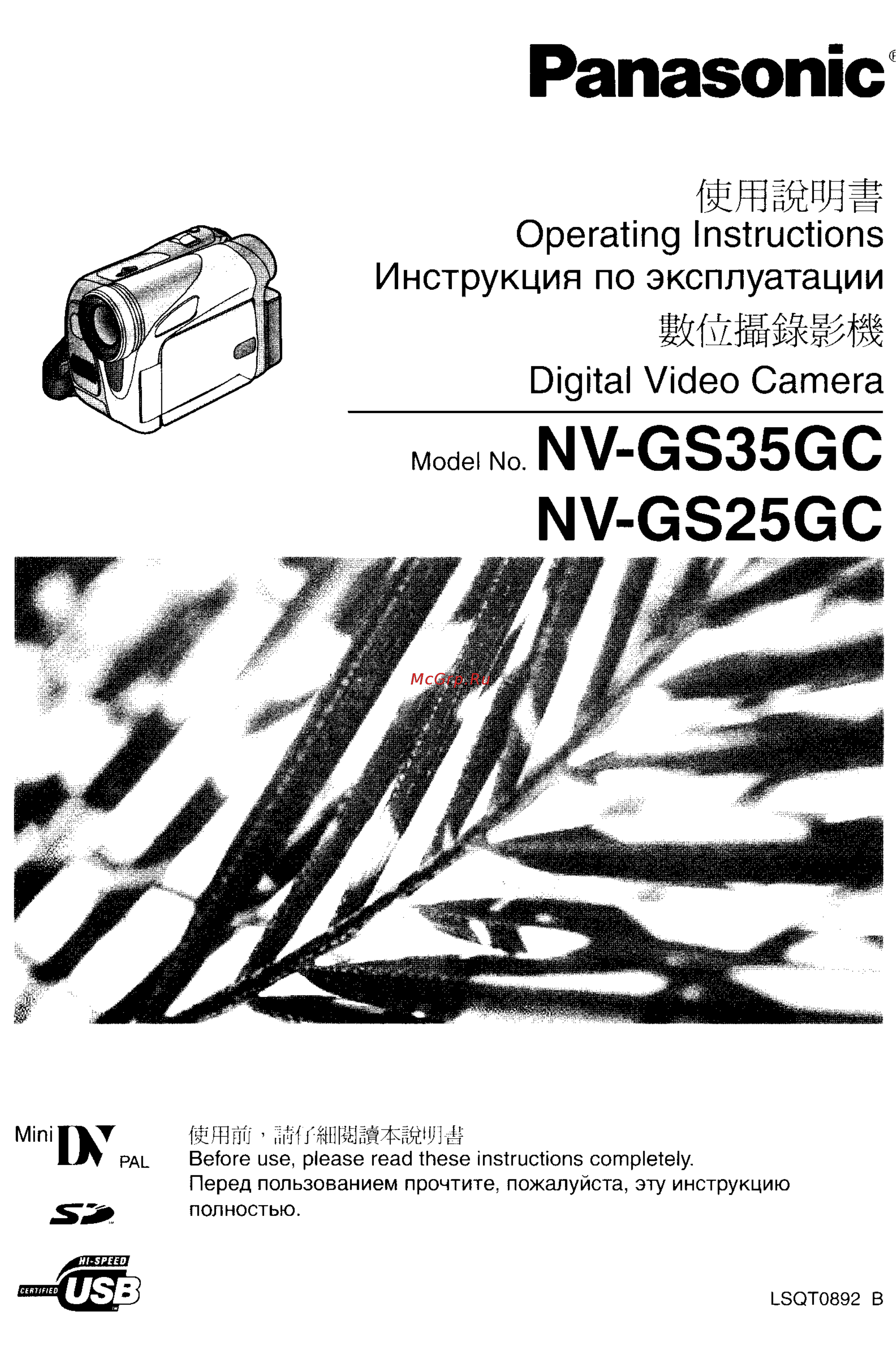 Panasonic NV-GS25GC Инструкция по эксплуатации онлайн
